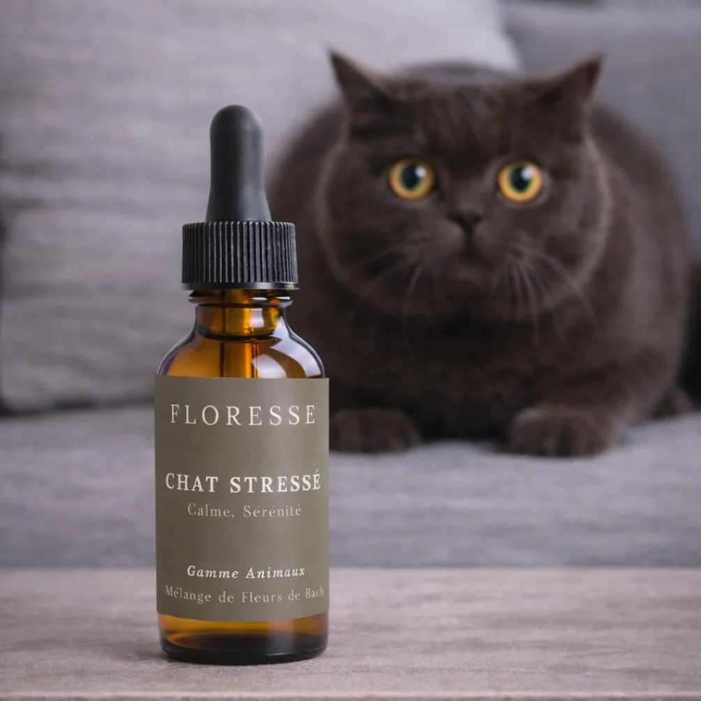 Fleurs de Bach Chat stressé 10 ml - Mélange calmant pour chat