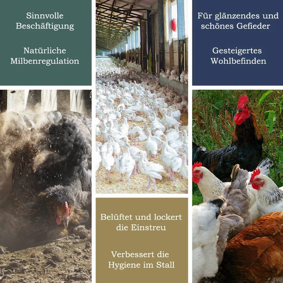 Petigi Poudre de Roche Primaire Diabase 25 kg pour Poulets Poulailler