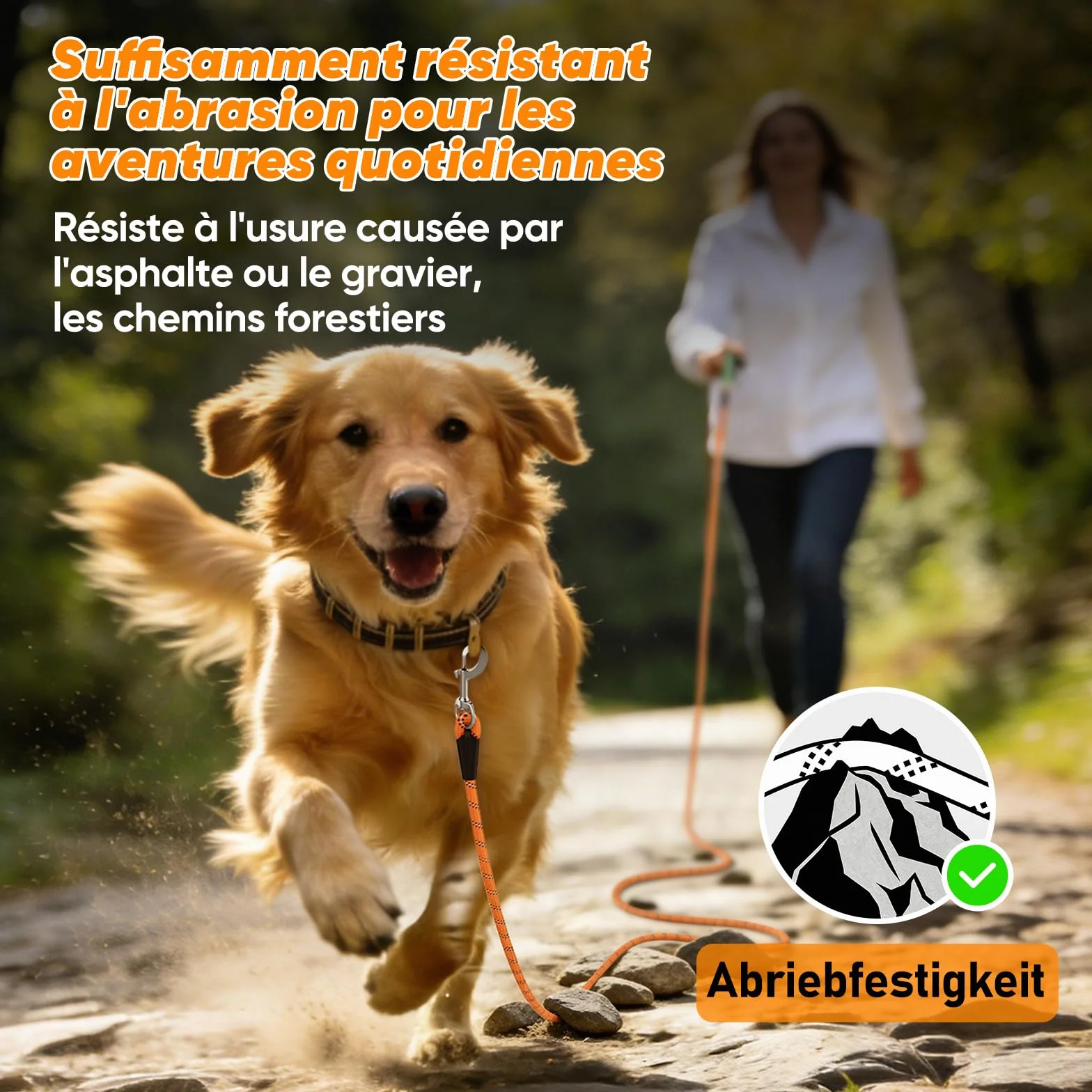 Laisse pour Chien Longue 5M 10M 15M 20M 30M avec Crochets Pivotants, Corde d'attache pour Petits Moyens Grands Chiens (Orange, 5M)