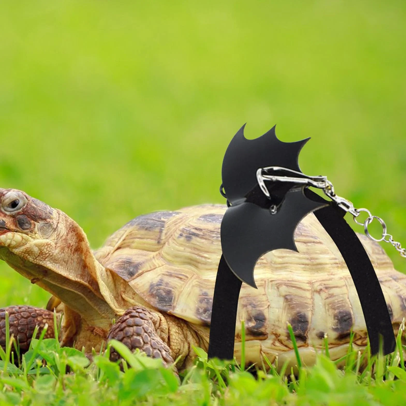 Harnais Tortue avec Aile Sangle Lézard Traction Cor Petit Animal Gilet Style pour Extérieur