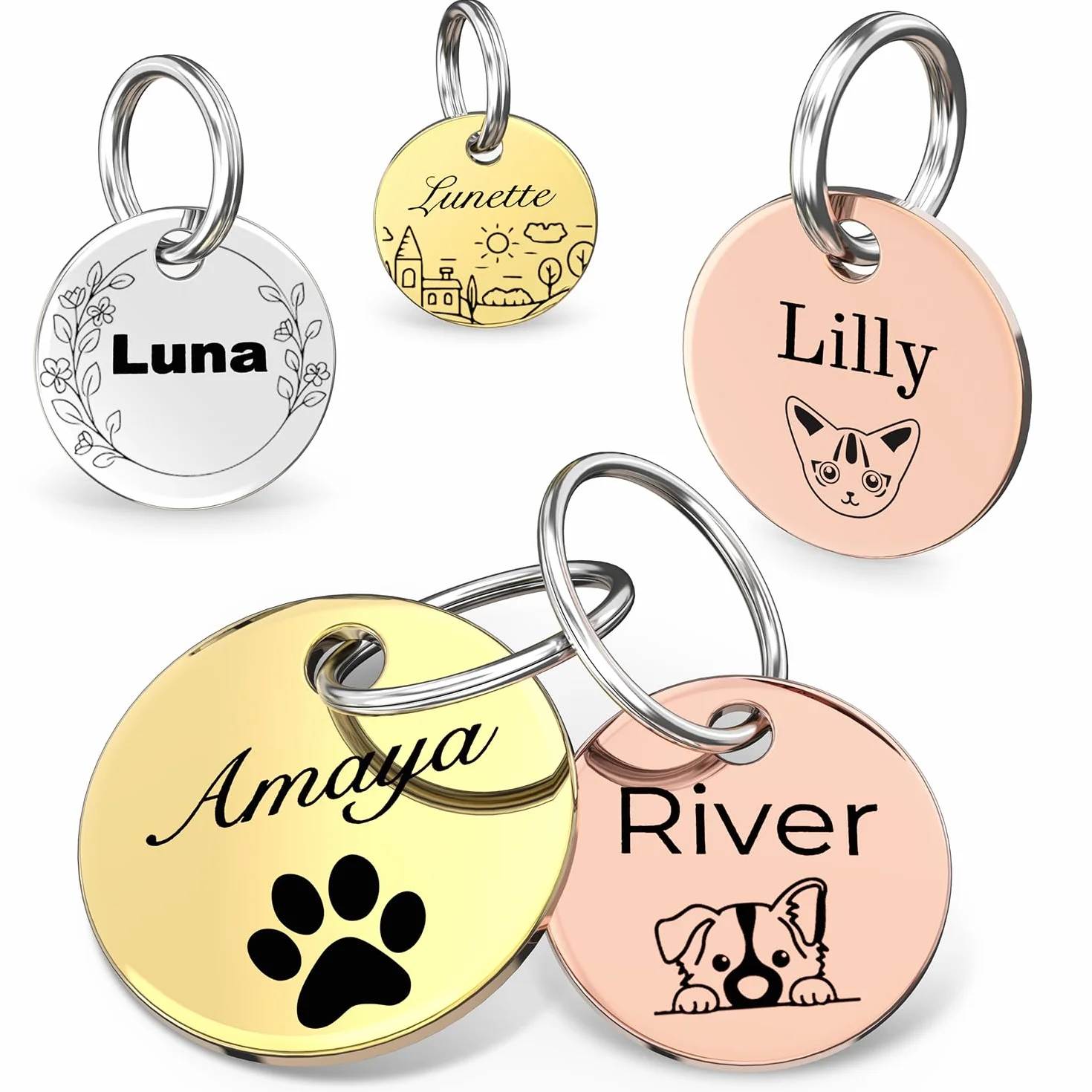 Médaille d'identification double face personnalisée en acier inoxydable poli pour chien et chat