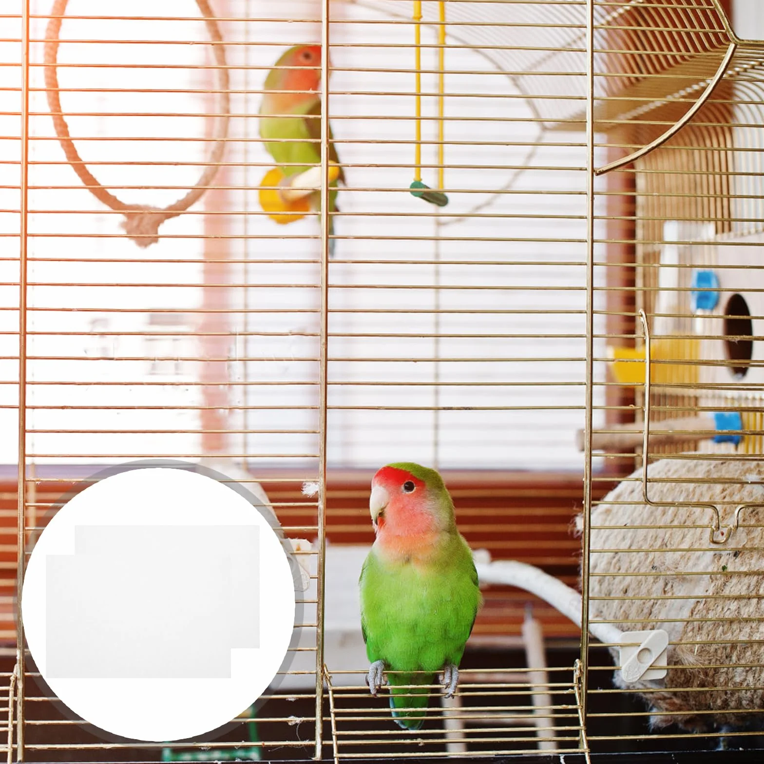 Housoutil Revêtements pour Cage à Oiseaux, 100 Pièces, 22 x 15 cm, Fond de Cage Oiseaux