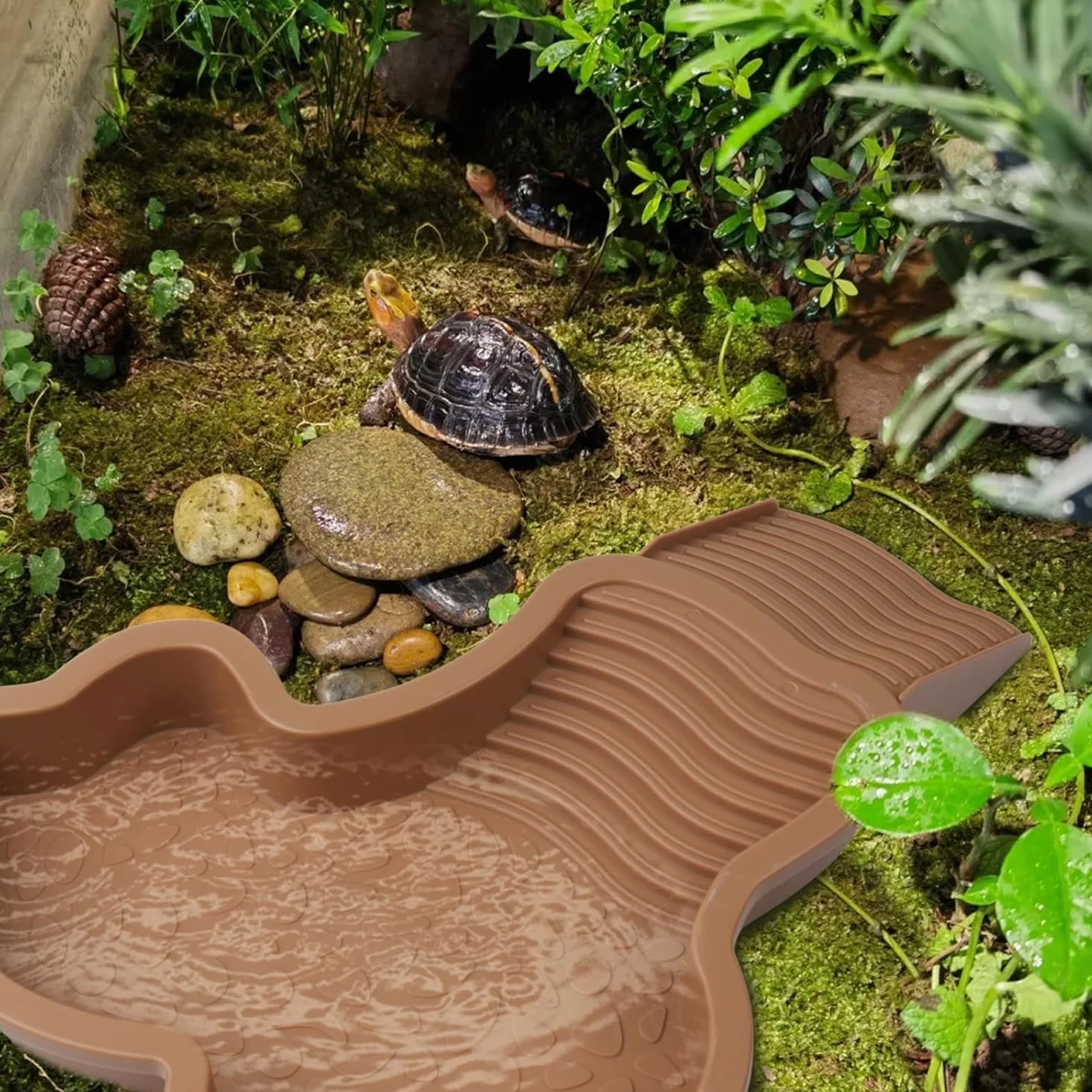 MEISO Abreuvoir Tortue Terrestre avec Rampe et Échelle, Bol d'eau pour Reptiles, Mangeoire pour Tortues, Lézards et Gecko (Brown)