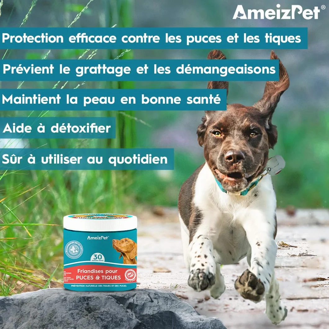 AmeizPet Cachet Chien Anti Puces Et Tiques Comprimés, Anti-Puces Chien Anti-Tique Prévention des Puces pour Chiots Et Chiens Adultes, Enzymes Digestives, 30 Friandises, 67.5g (2.3 Oz)
