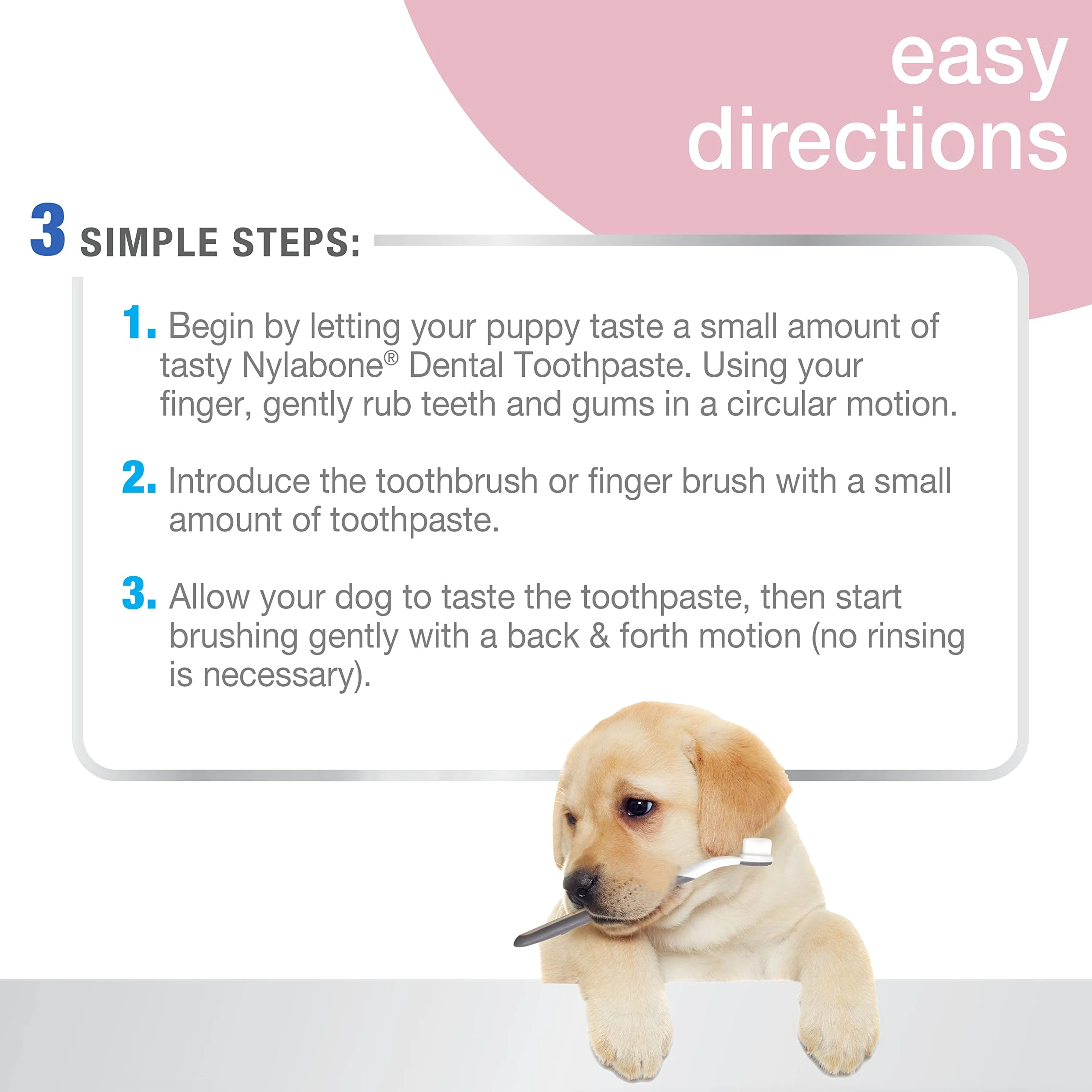 Nylabone Advanced Oral Care Kit Dentaire pour Chiot avec Brosse à Dents à Poils Doux et Doux Beurre d'arachide (3 pièces)