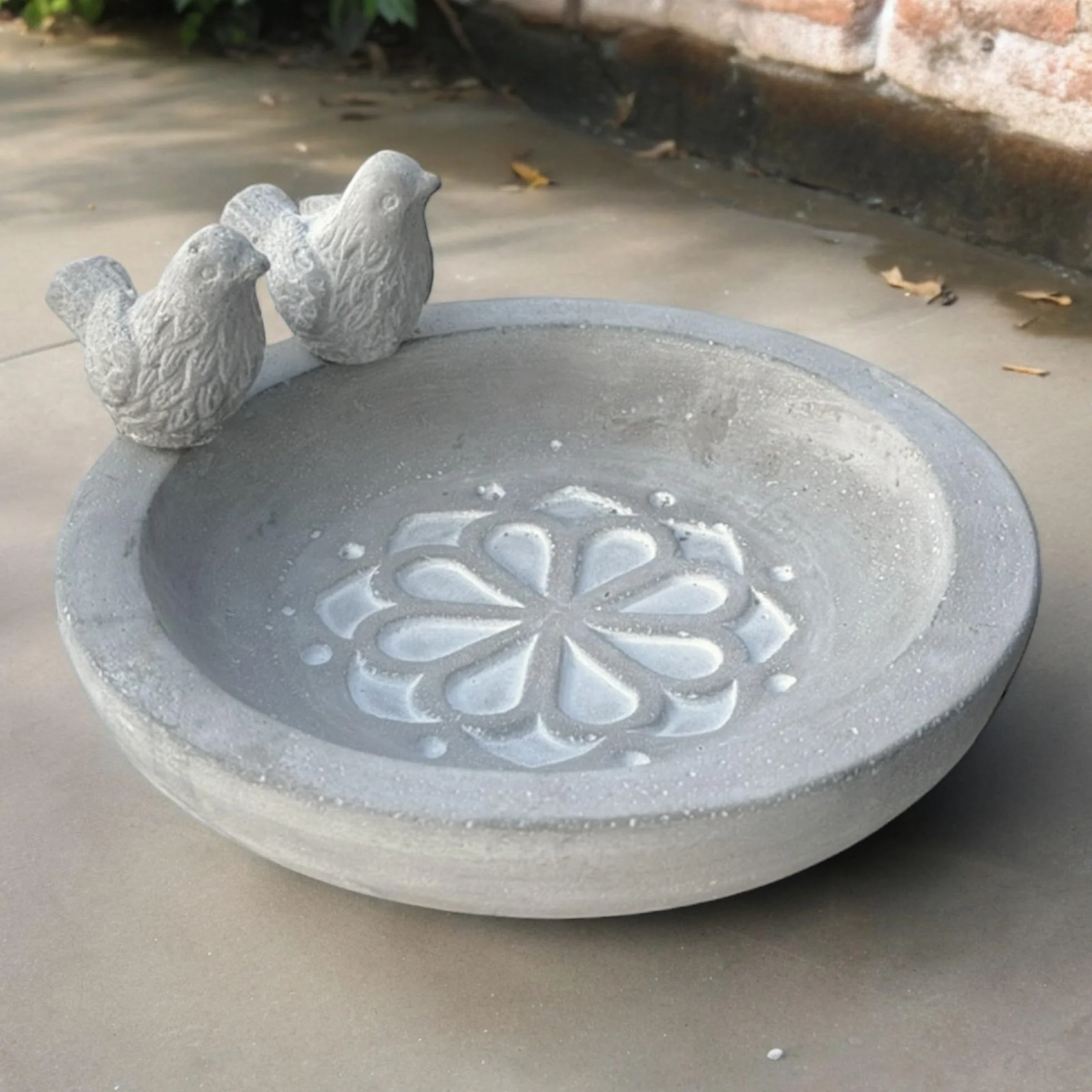 MIJOMA Bain d'oiseaux en ciment résistant au gel pour jardin, décoration fleurs et oiseaux