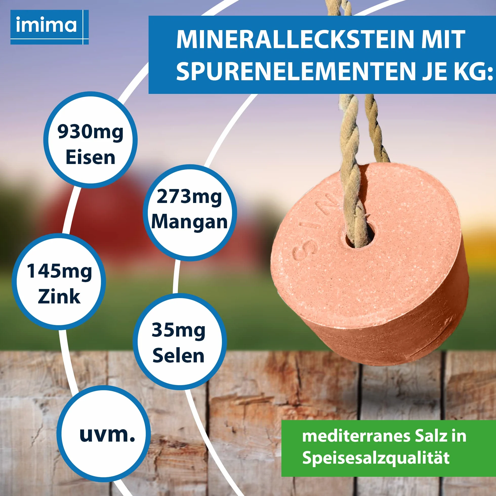 Mineral Lick Horse VITAMIN PLUS Selenium Salt Lick Set 4 x 3kg - Pierres pour lécher le sel pour chevaux, moutons, chèvres, gibier et bovins - Pierre minérale pour lécher le sel