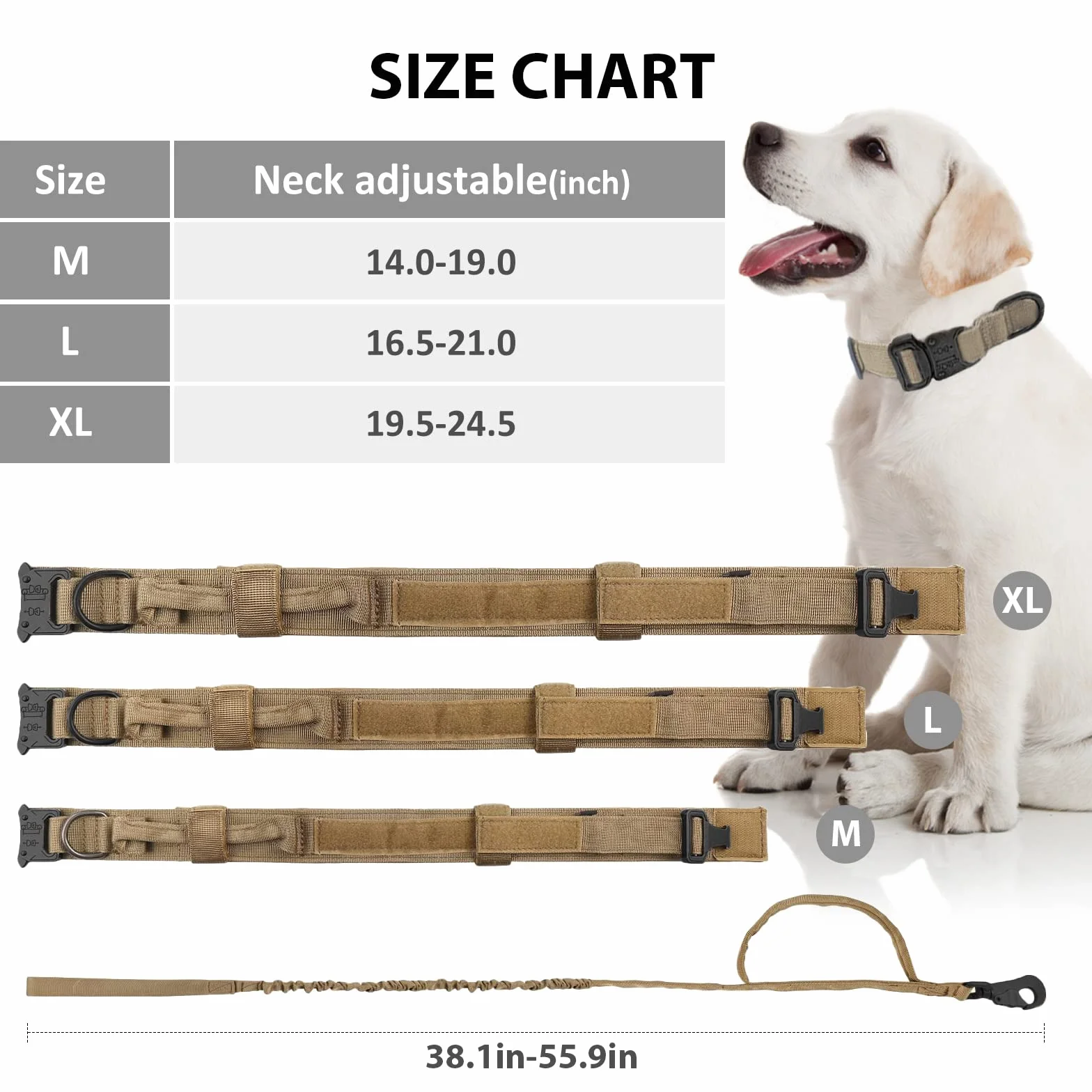 Tactique Collier et Laisse pour Chien réglable Nylon Militaire Boucle Métal Robuste Laisse élastique Dressage Taille XL Kaki