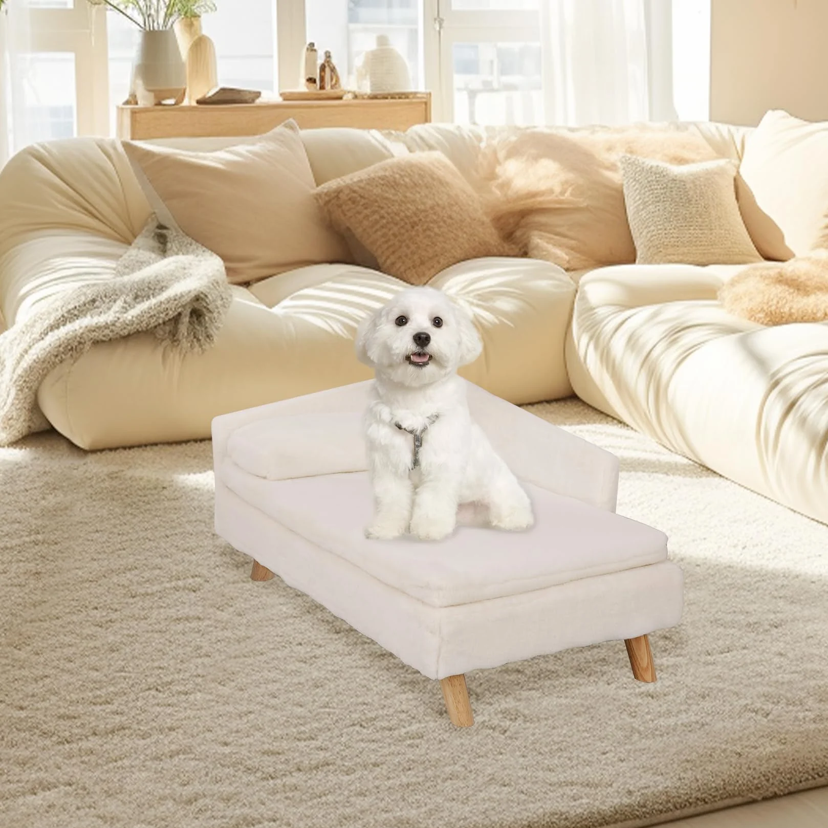 BingoPaw Canapé pour Chien Petite Taille, Lit Surélevé avec Coussin Lavable, 70.5x38x23.5cm