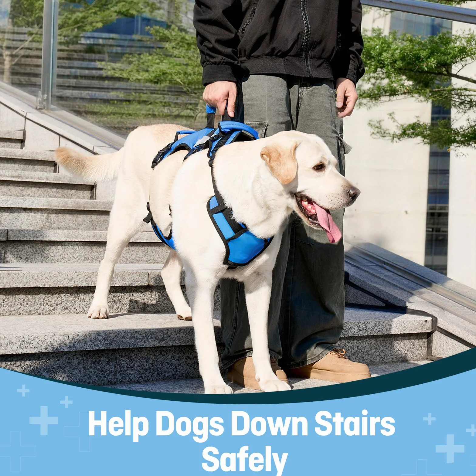 Harnais de Levage pour Grand Chien, Soutien Complet avec 3 Poignées, Sangle d'Épaule, Aide à la Marche pour Chiens Seniors, Arthrite, Bleu, XL