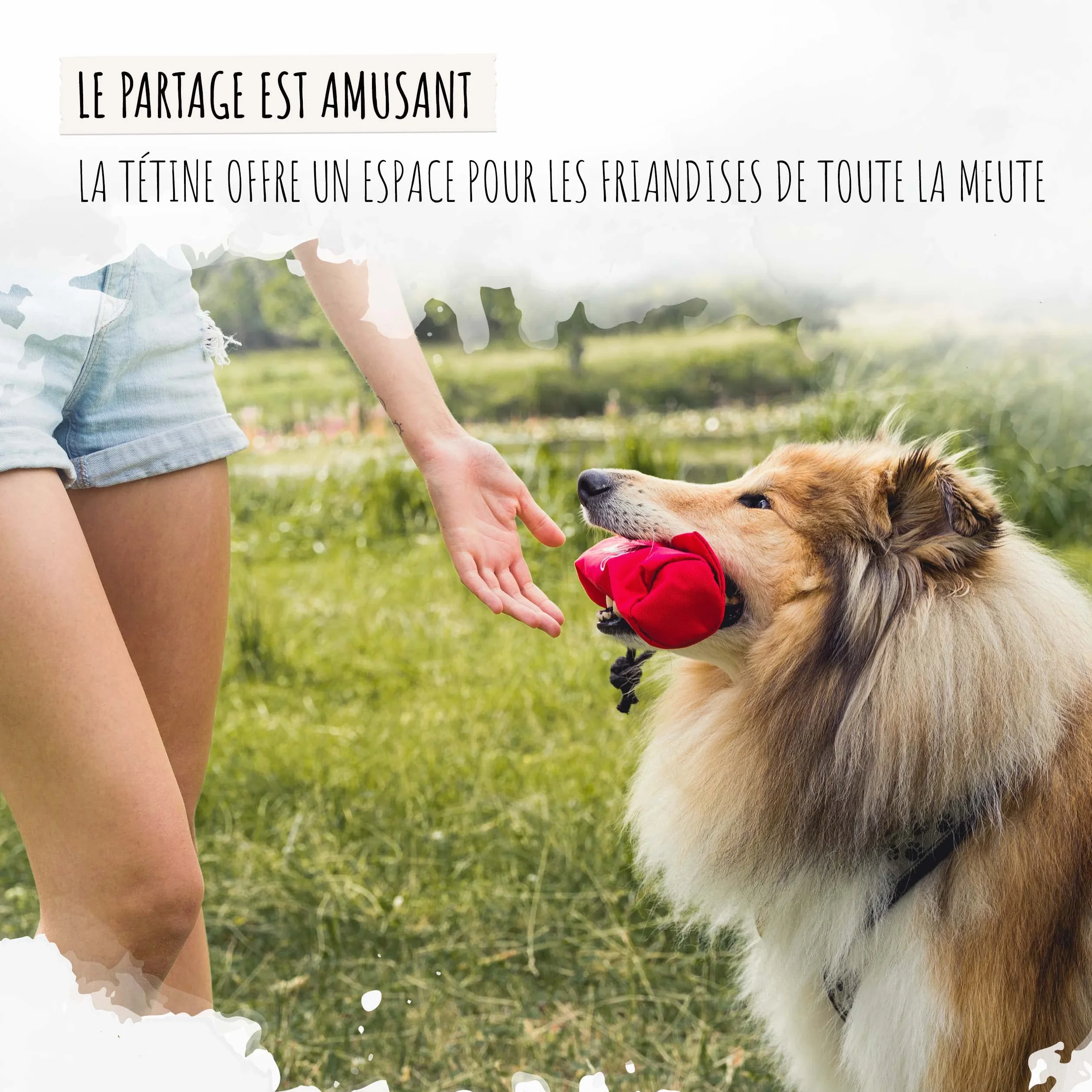 Rudelkönig Apportable Chien Robuste Jouet friandises Mordant Boudin accessoires