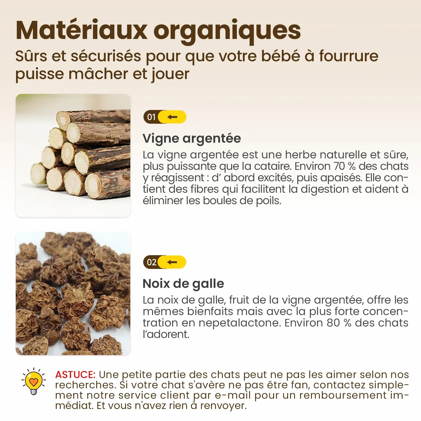 Potaroma Lot de 6 Bâtonnets Naturels pour Chats – Jouets à Mâcher avec Cataire & Silvervine