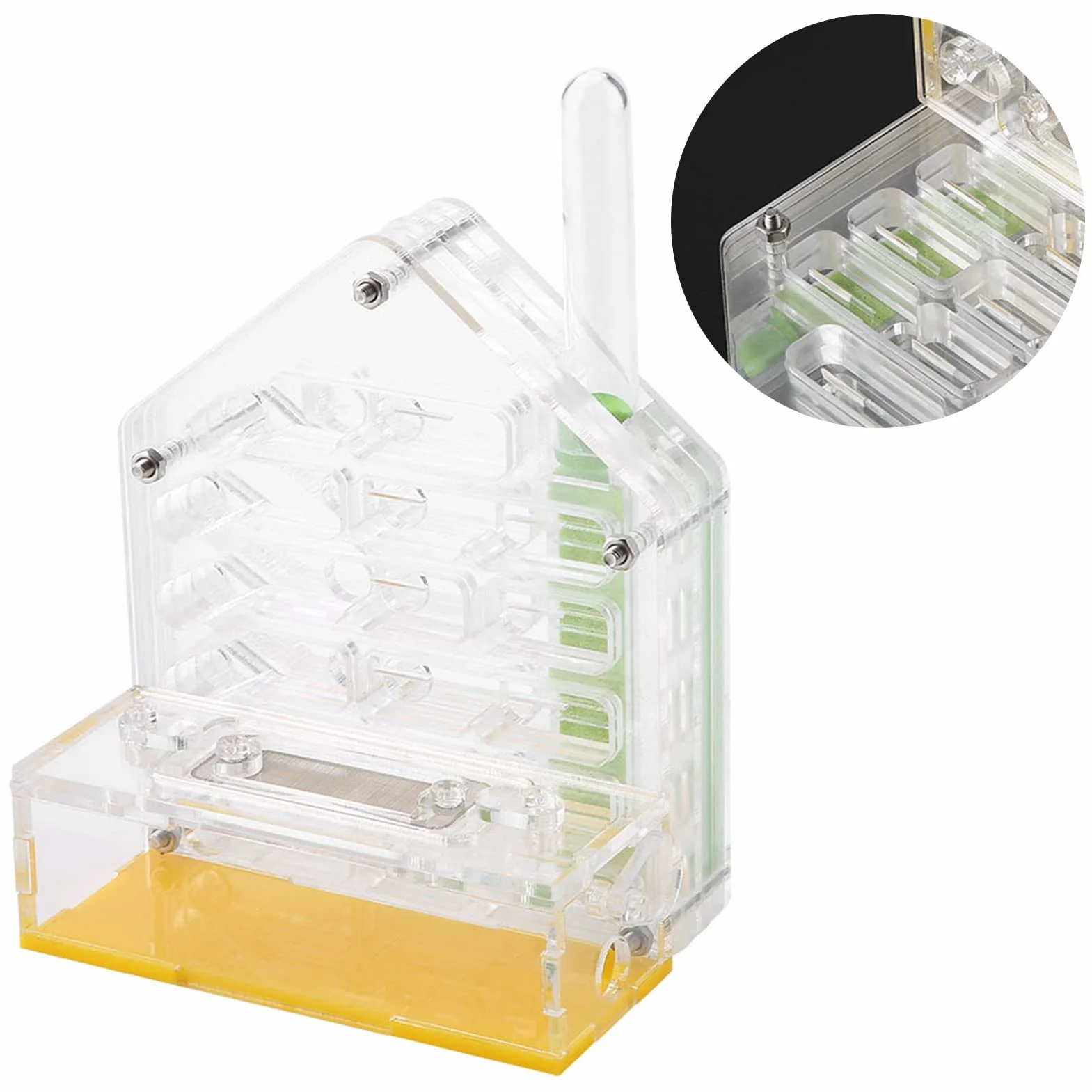 Formicarium Nourriture pour Fourmis 12×11×8 Acrylic Farm The Farm is Alive