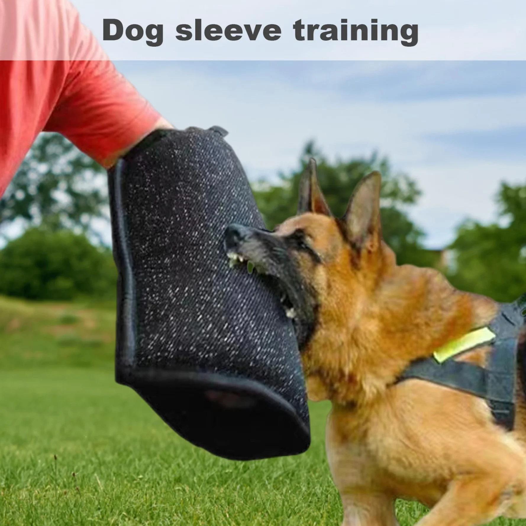 Manchons d'entraînement en Nylon résistants aux morsures pour Chiens, Manchon de Bras de Morsure Peu encombrant