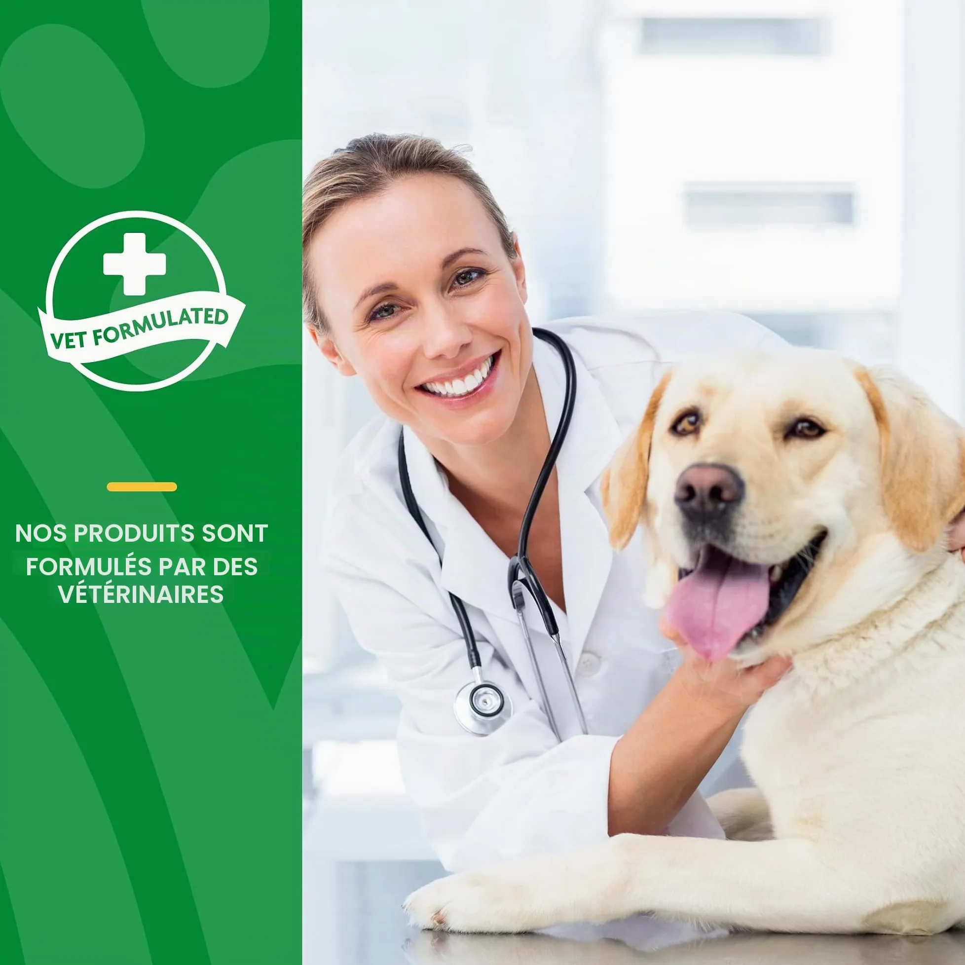 NaturVet Digestive Enzymes Plus Probiotiques Complément Alimentaire pour Chiens, à mâcher Doux, fabriqué aux États-Unis avec des ingrédients d'origine Mondiale 90 pièces