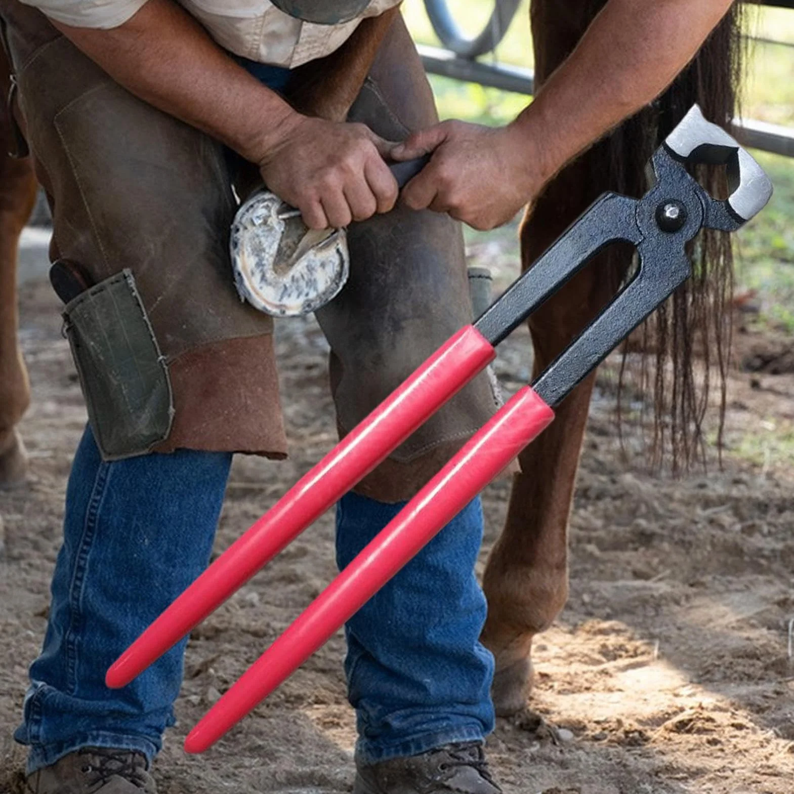 Pinces À Sabot De Cheval, Pince de Maréchal-Ferrant, Pinces à Parer Chevaux Réparation Fer Pince à Tordre Matériel pour Sabots Vache Mouton Ferme Animaux