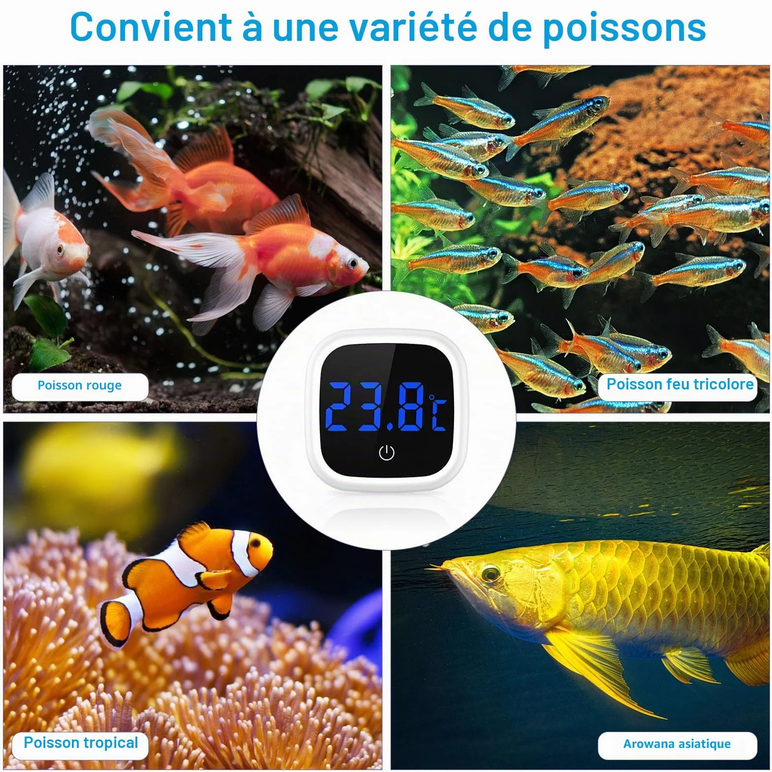 Brifit Thermomètre Aquarium Numérique avec Ecran Tactile LED, Sans Fil pour Eau Douce et Marine