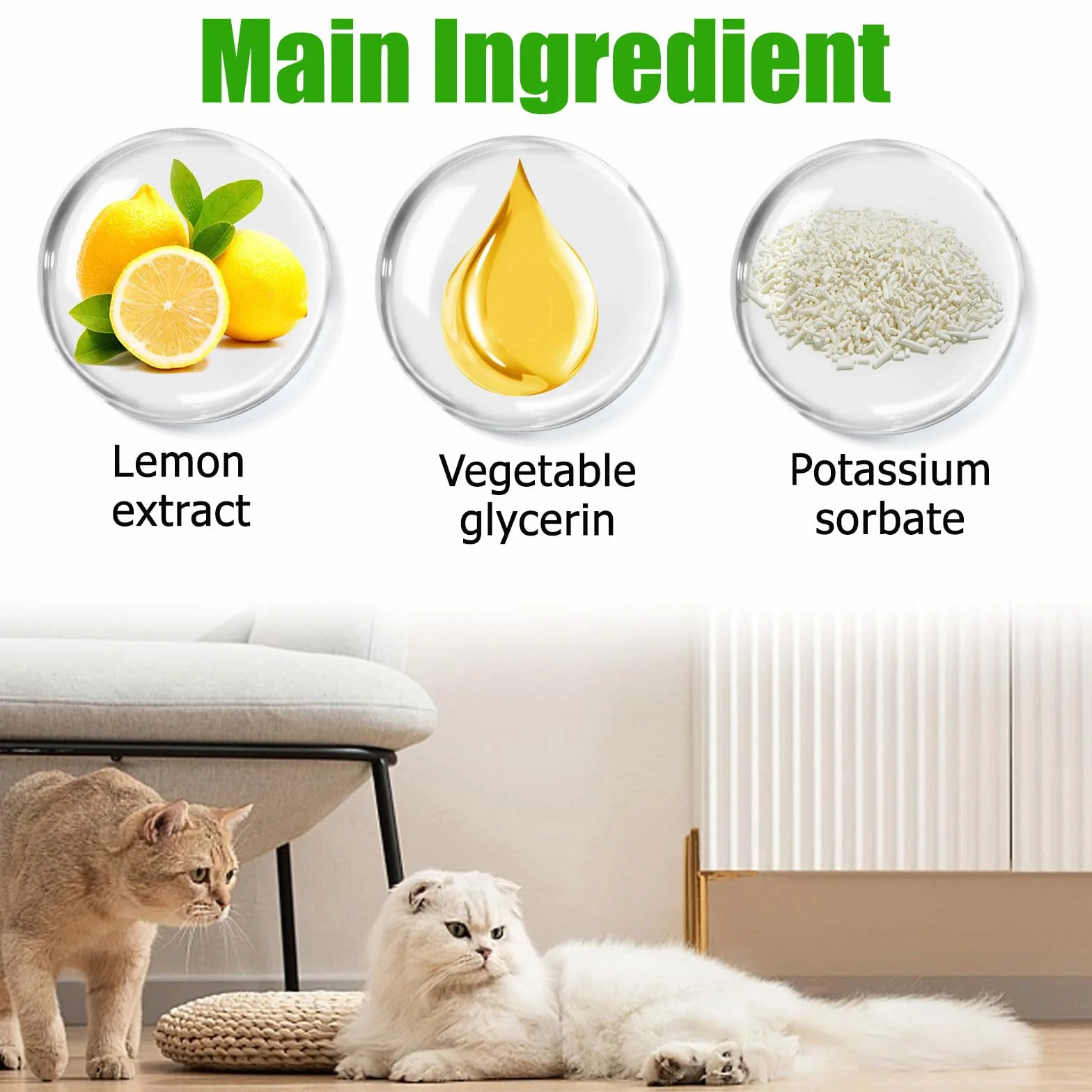 Probiotiques Chien Chat 60ML Antibiotiques pour Chats Soulagement Constipation