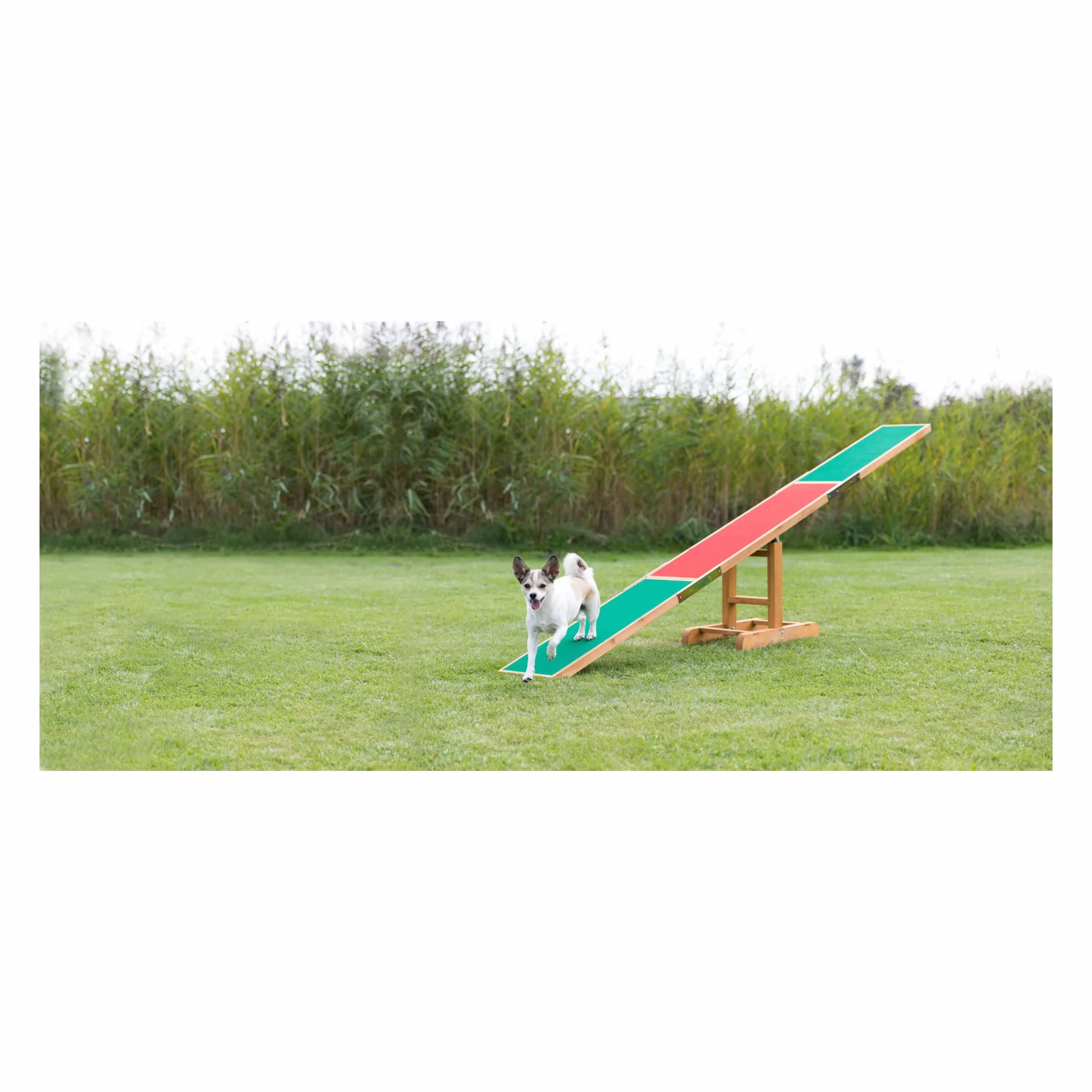 TRIXIE bascule d’agility pour chien 300 × 54 × 34 cm rampe résistante aux intempéries