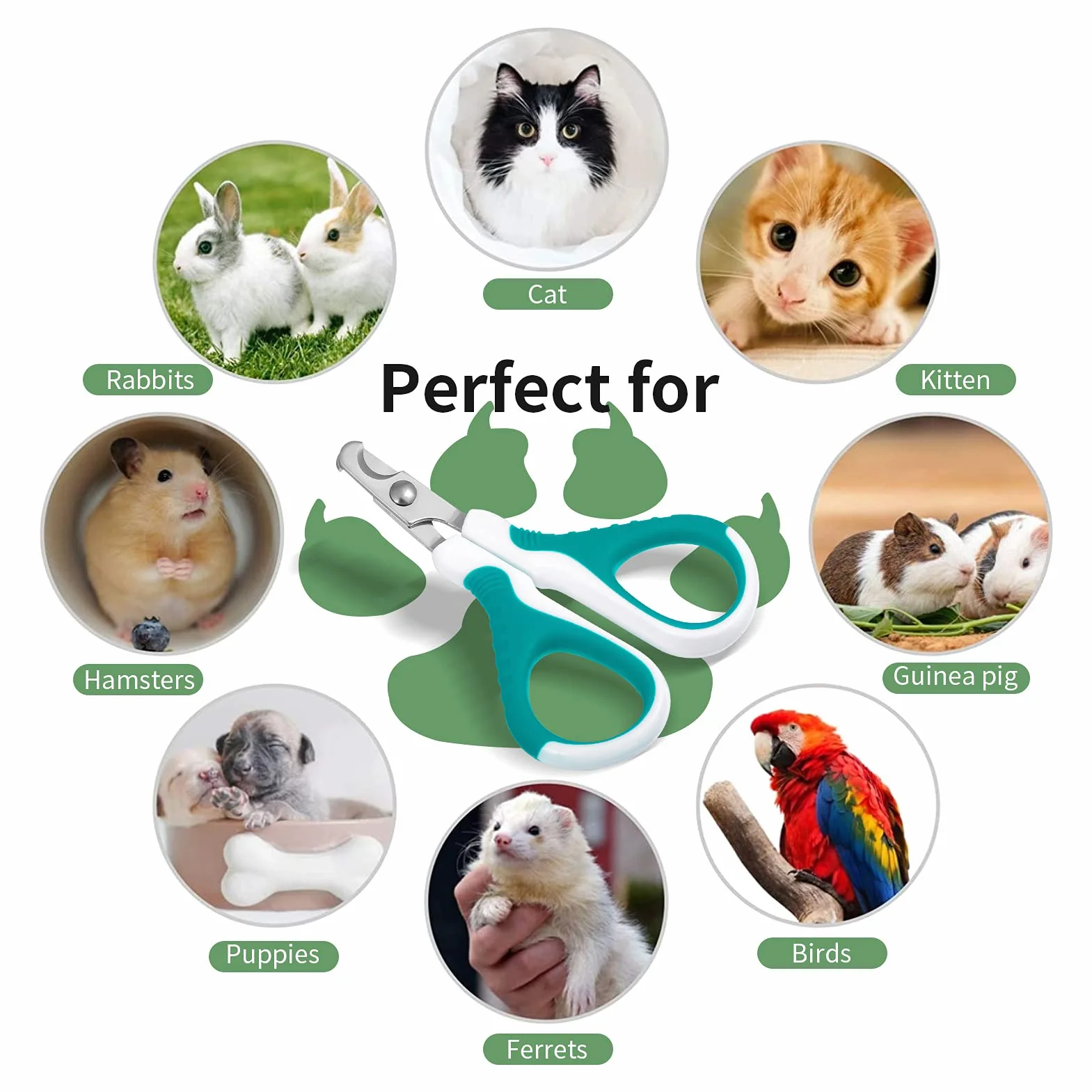 SUSSURRO Coupe Griffes Chat Professionnels, Ciseaux à Ongles Courbe en Acier Inoxydable pour Chiots et Chatons