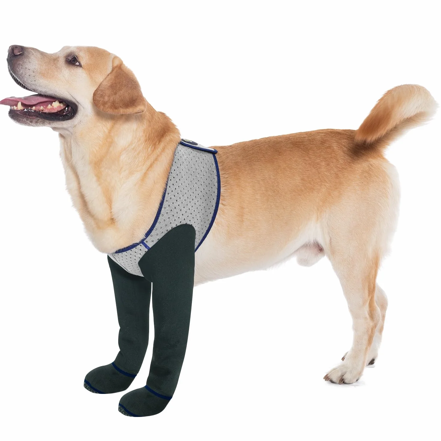 COODEO Chaussettes pour Chien Imperméables Antidérapantes Anti-Léchage (Gris, L)