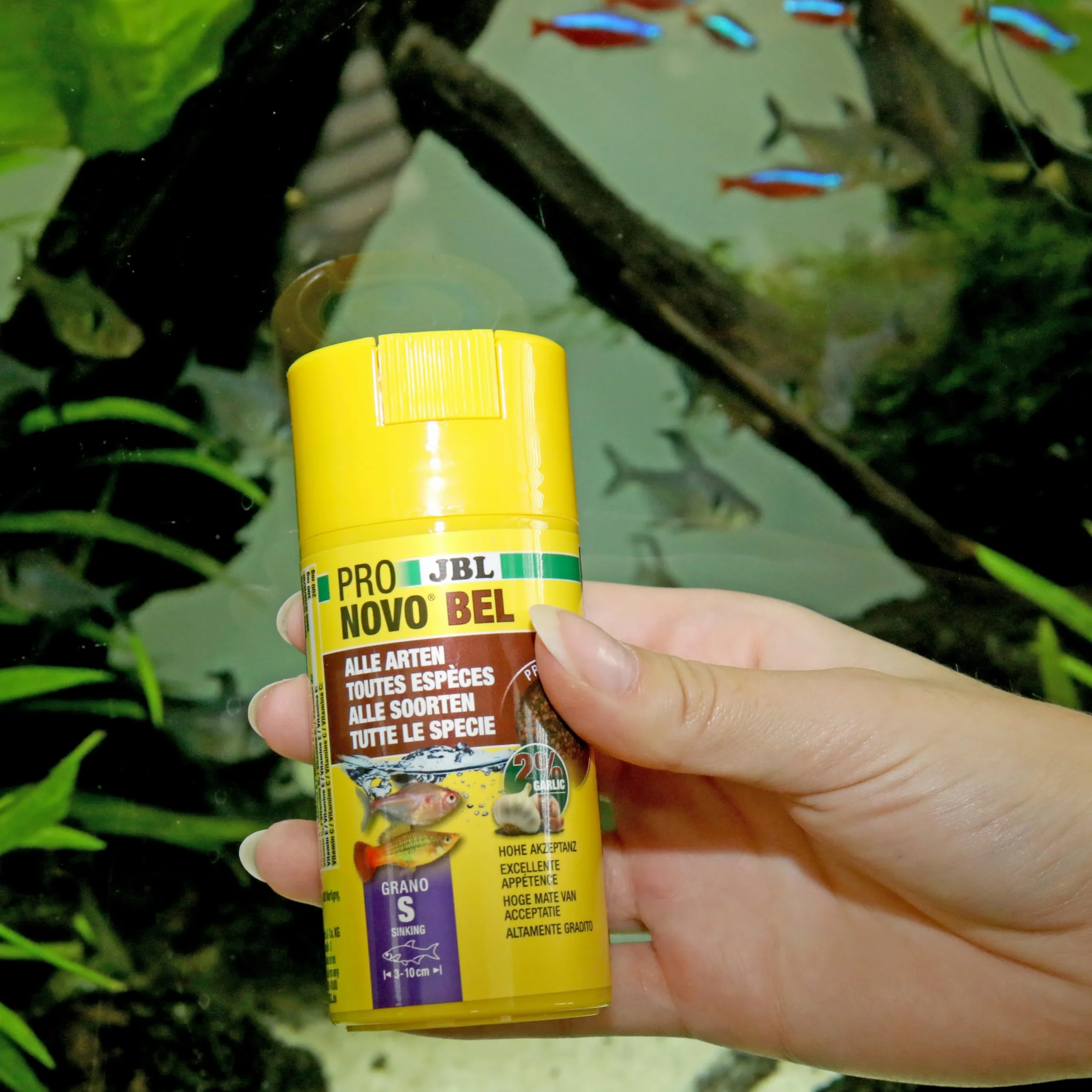JBL PRONOVO BEL GRANO Aliment de Base pour Poissons d'Aquarium 3-10 cm Granulés Doseur à clic Taille S 100 ml