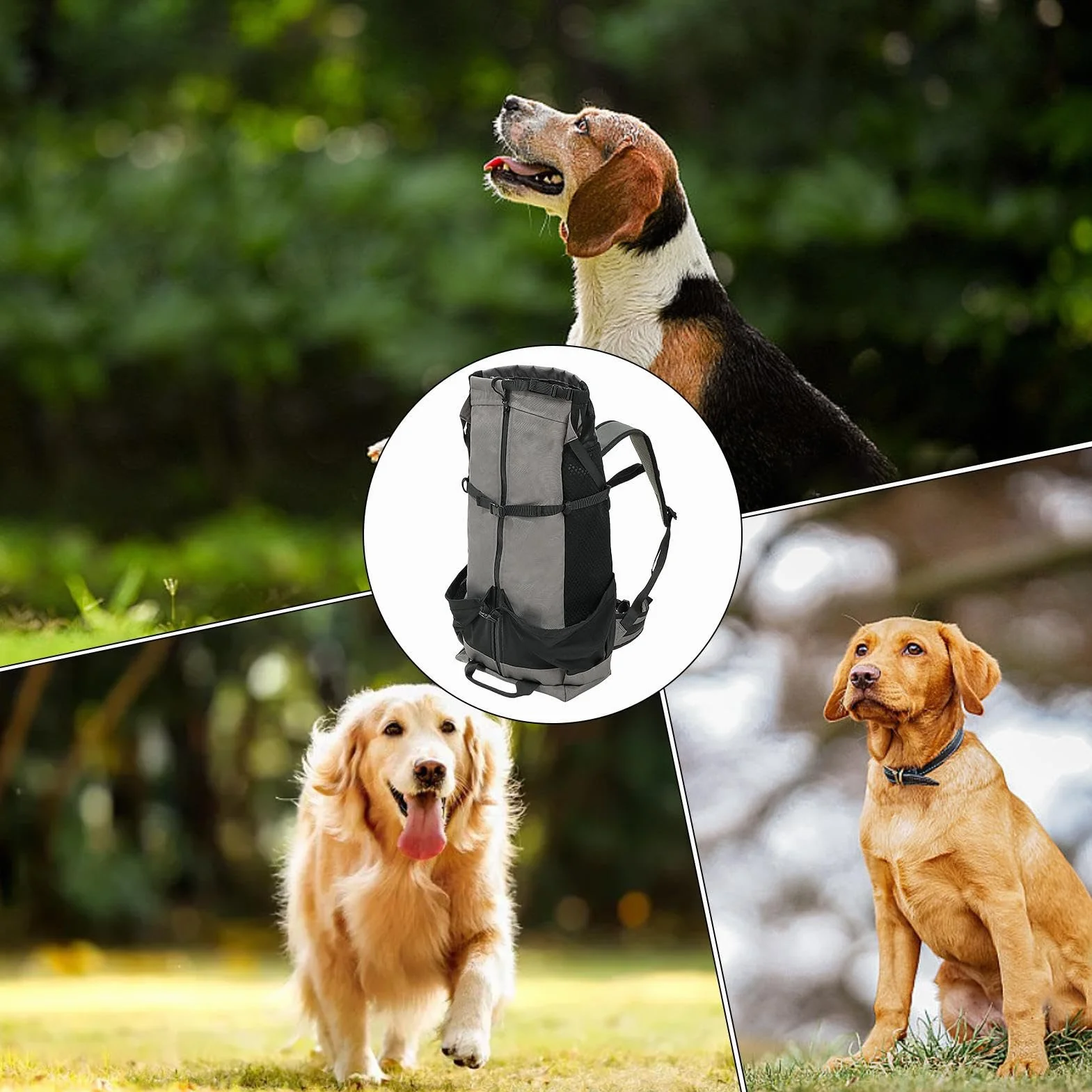 Sac à dos pour chien de transport spacieux en tissu durable anti-pincement avec bretelles réglables et harnais