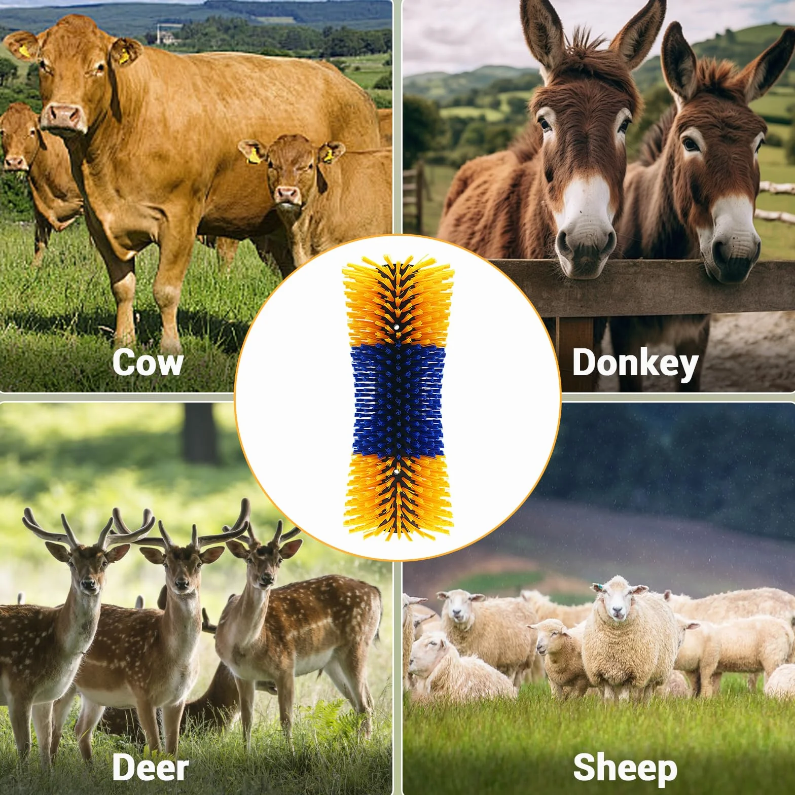 Brosses à gratter pour cheval lot de 2 - demi-cercle, toilettage complet avec vis pour animaux de ferme