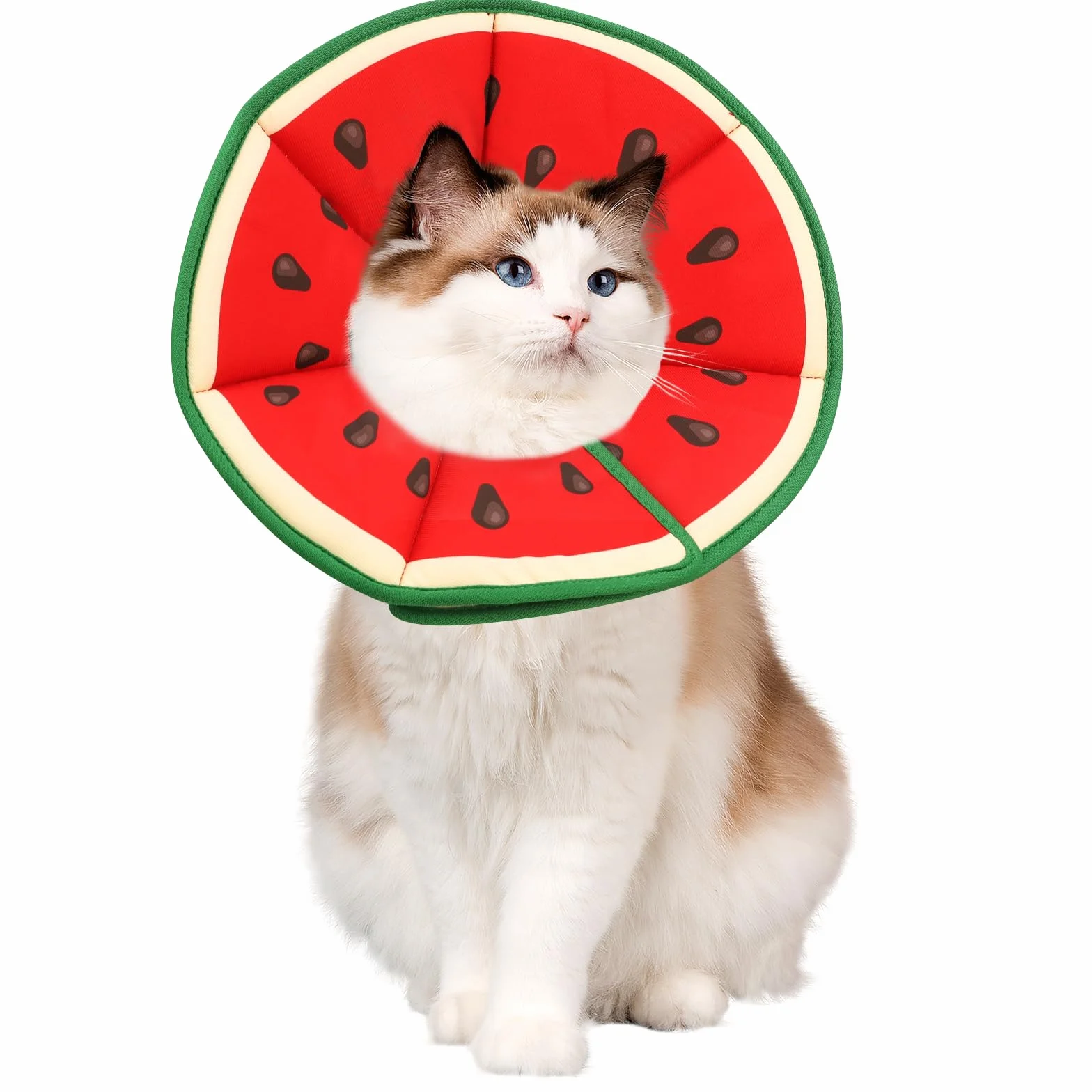Collerette Chat Anti Léchage Forme Pastèque Douce Récupération Postopératoire Taille M