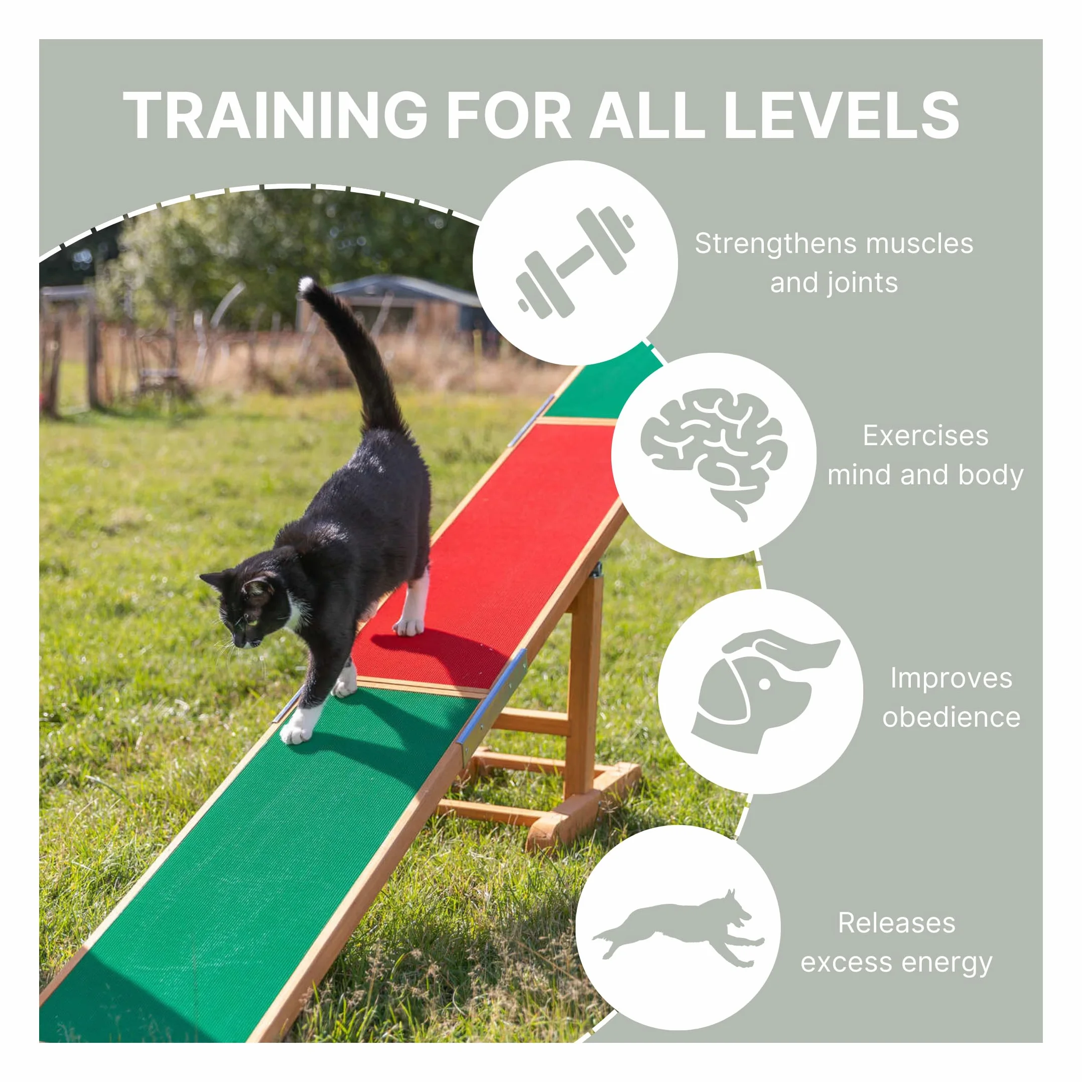TRIXIE bascule d’agility pour chien 300 × 54 × 34 cm rampe résistante aux intempéries