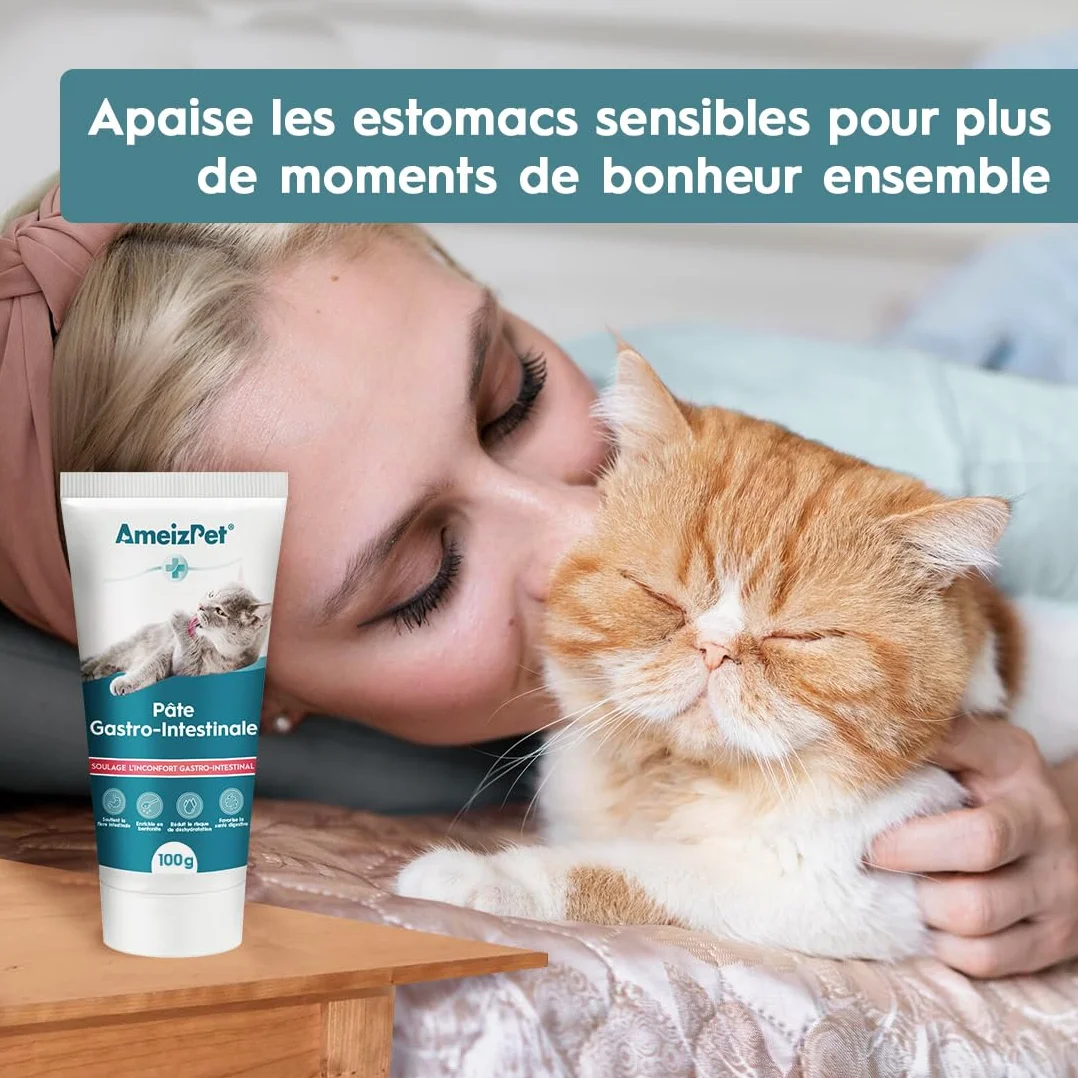 AmeizPet Pâte Gastro Intestinale pour Chats, 100 g – Complément Digestif pour la Santé Intestinale