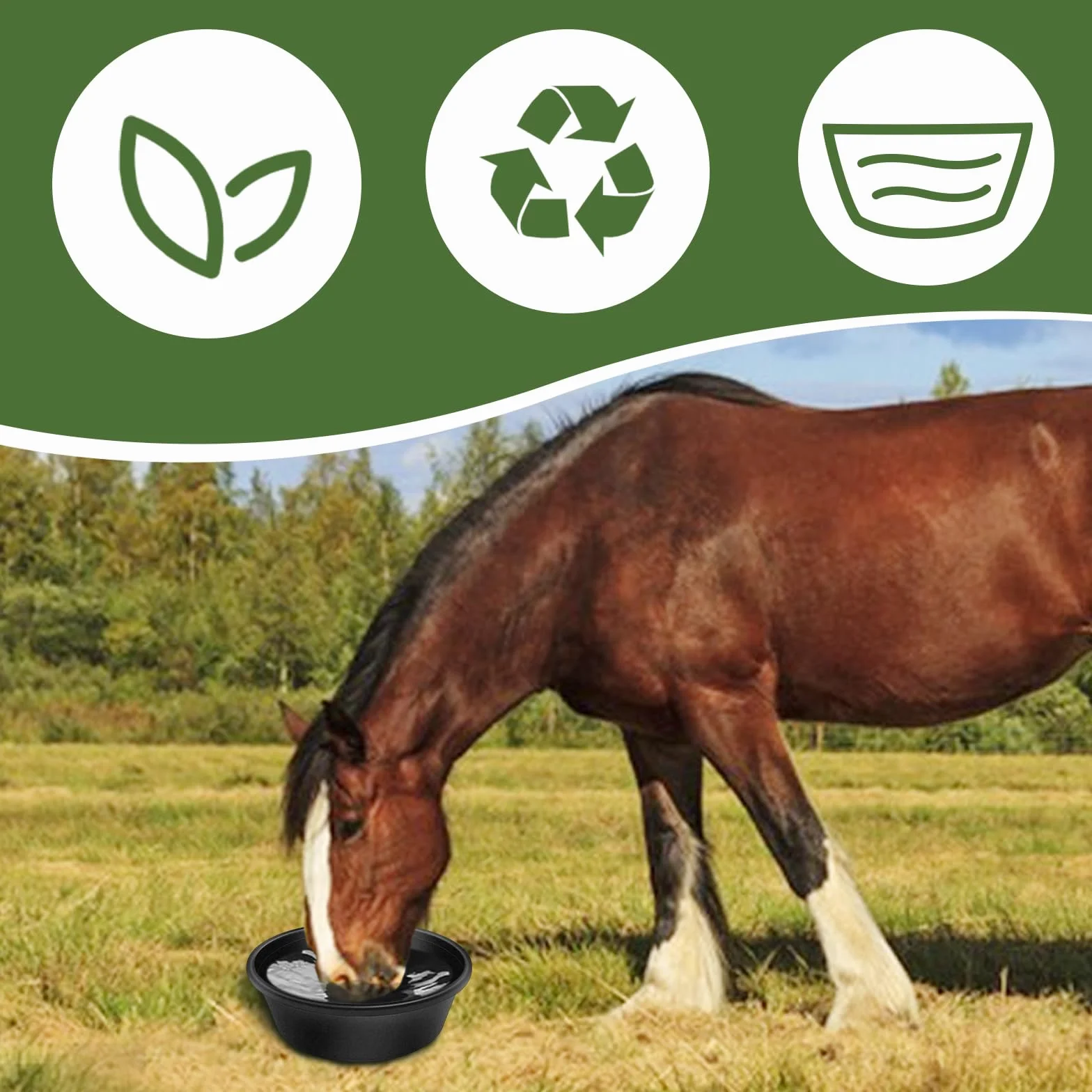 Mangeoires en caoutchouc durable 4 litres pour chevaux, chèvres, poulets