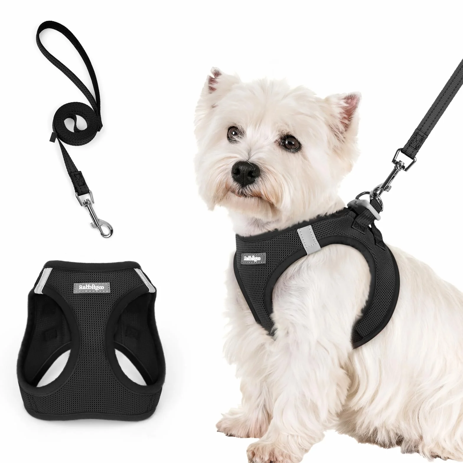 Rabbitgoo Harnais Chien Petite Taille avec Laisse Réfléchissant, Maille Souple, Gilet Réglable Facile à Mettre, pour Petit et Moyen, Noir S