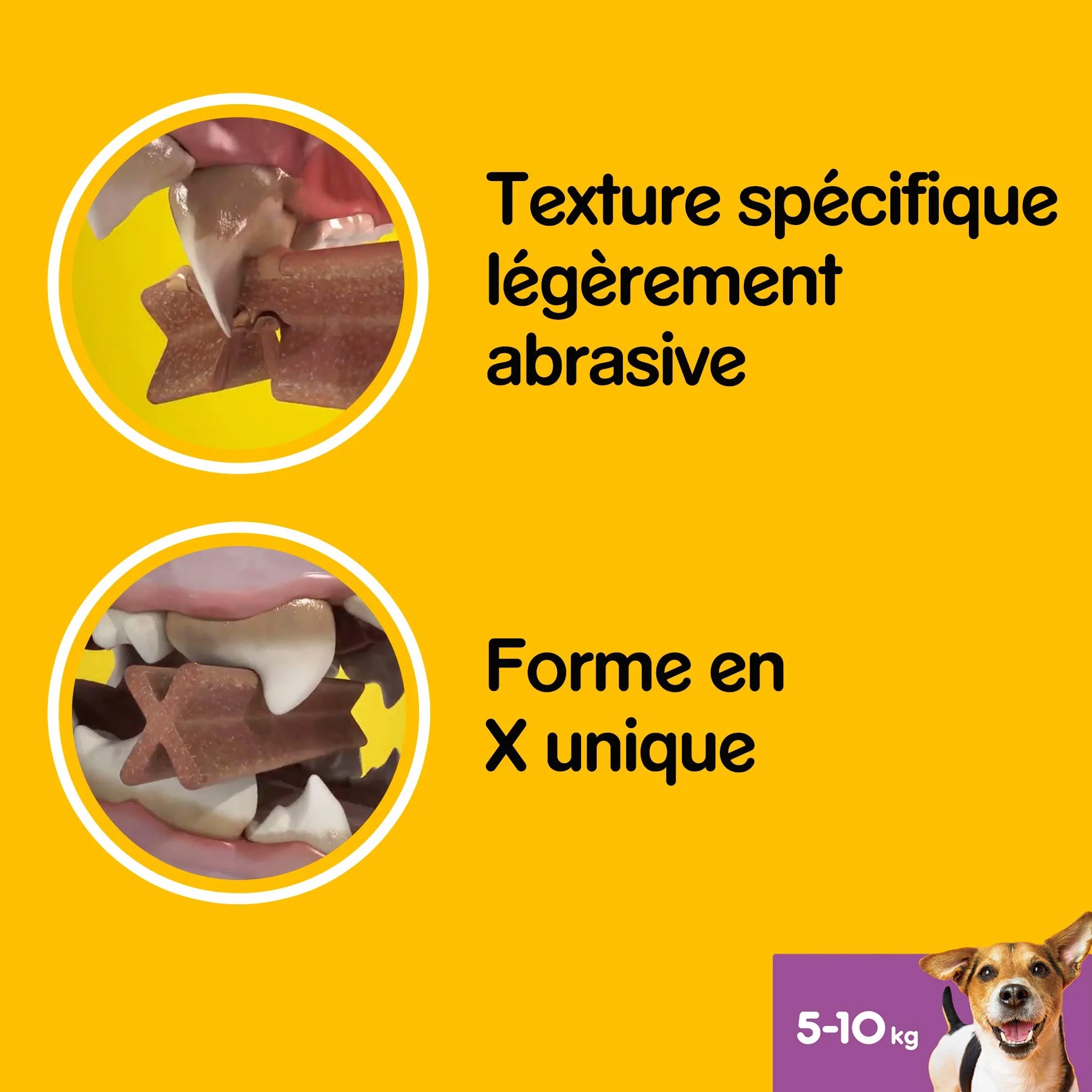 Pedigree Dentastix Friandises pour petit chien 56 bâtonnets hygiène bucco-dentaire 880 g