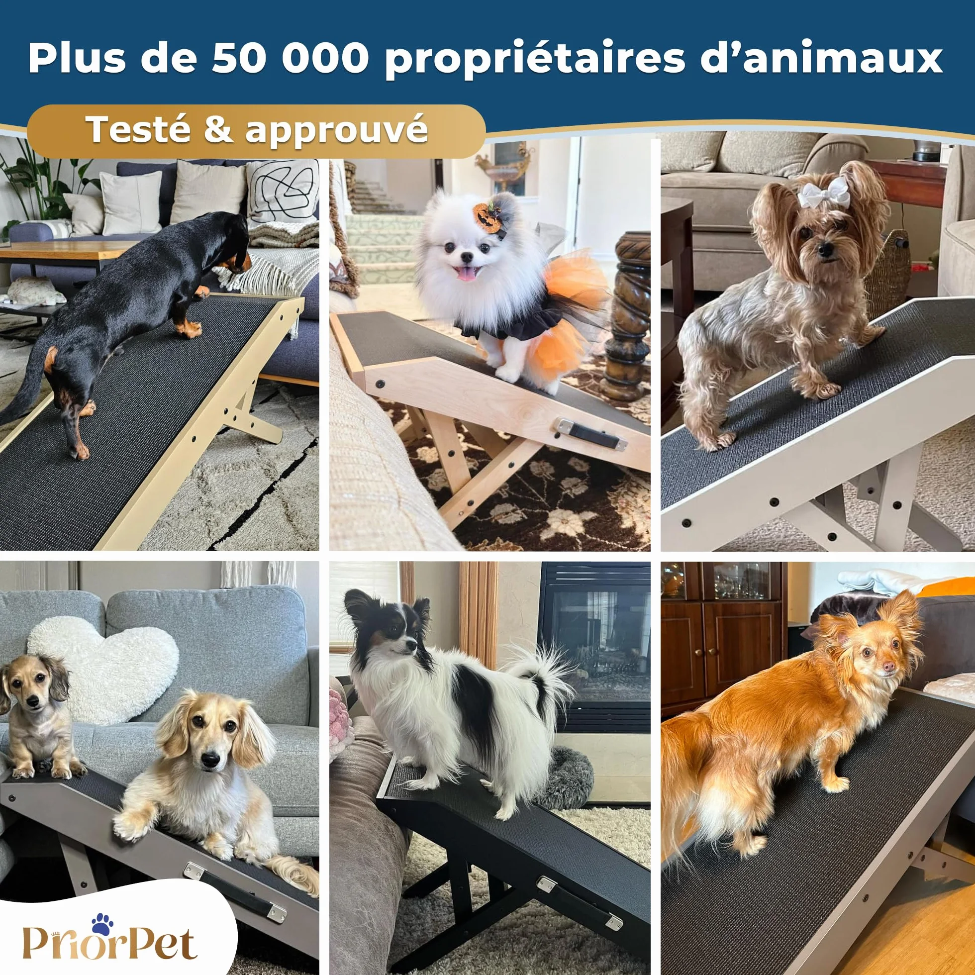 Rampe pour Chien Pliable et Réglable 18-53 cm - Surface Antidérapante - Bois de Bouleau Naturel