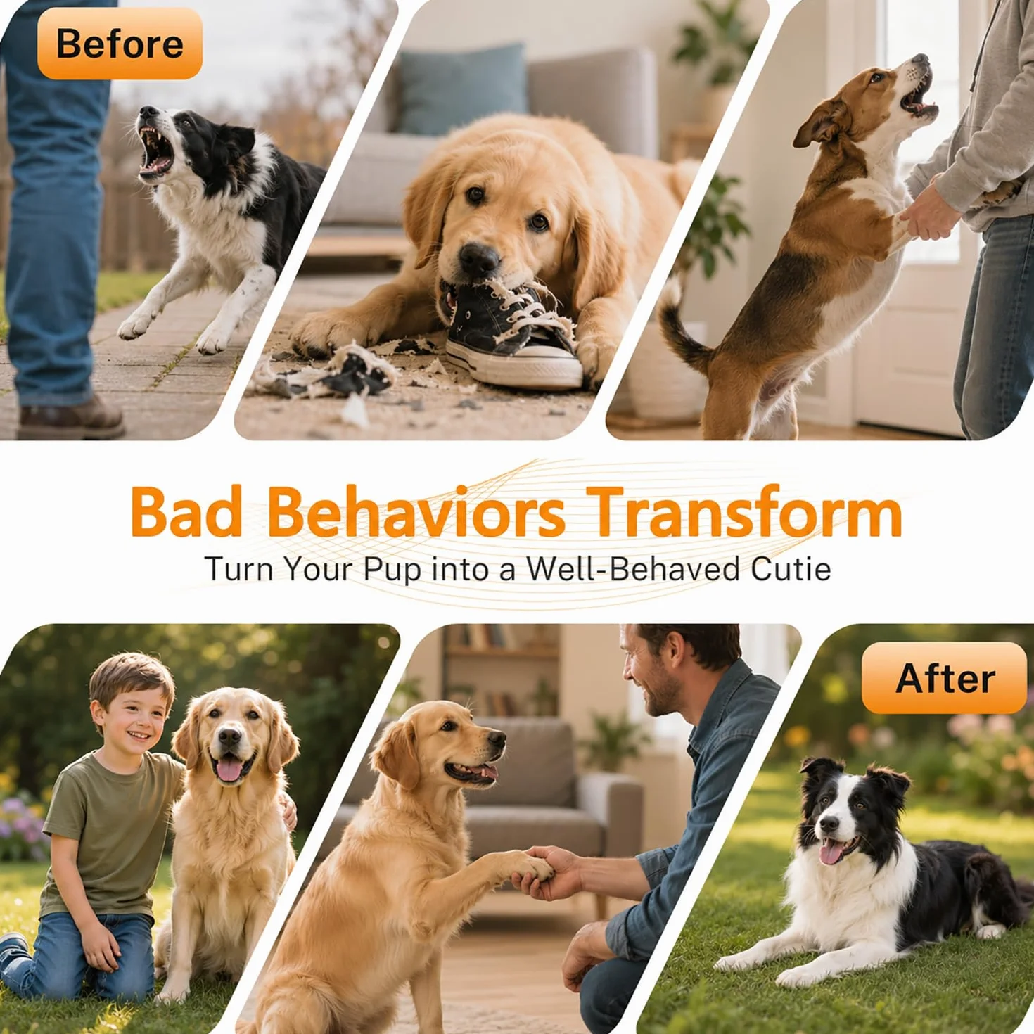 Anti-Aboiement pour Chien Automatique Ultrason 4 Modes IP45 Étanche Rechargeable