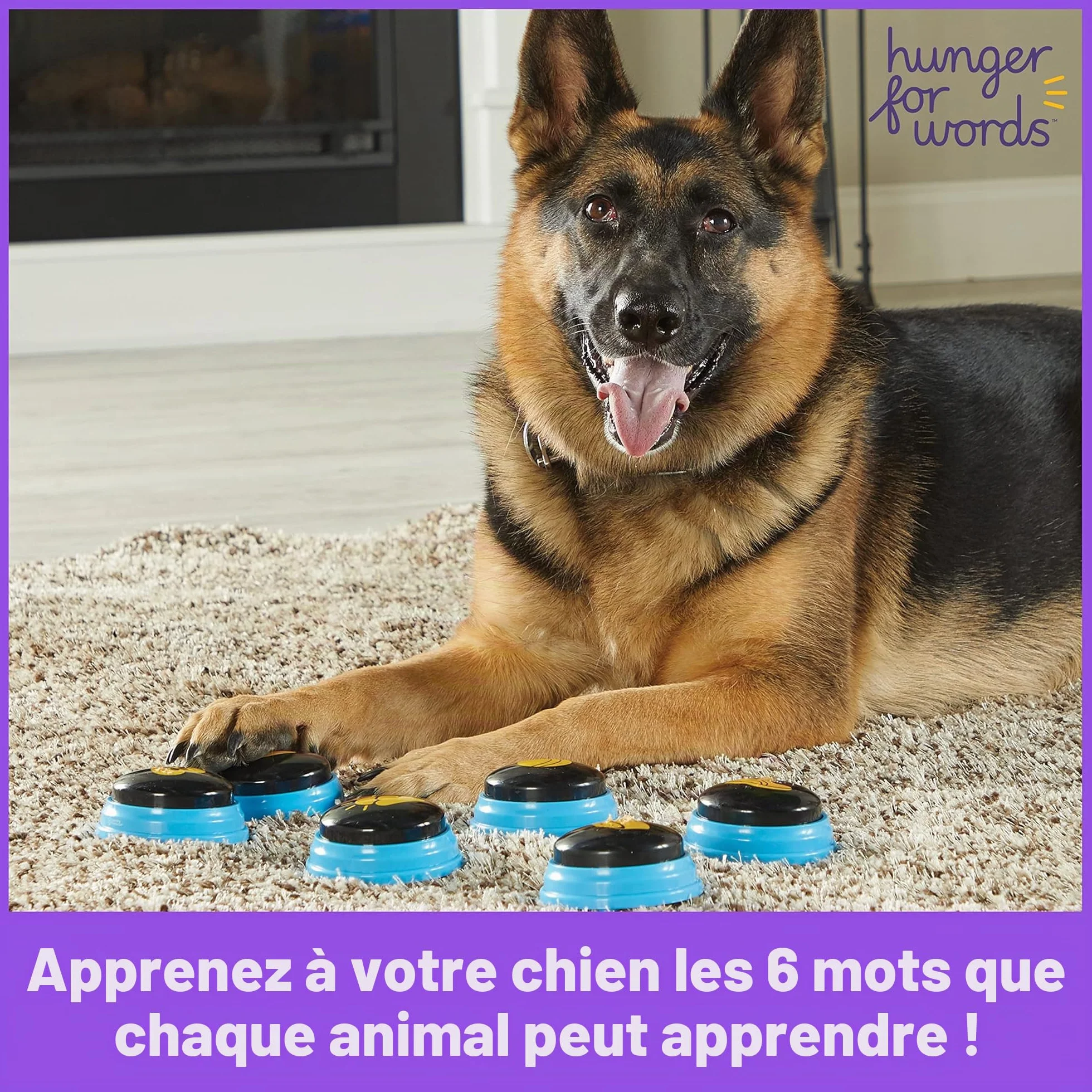 Learning Resources Hunger for Words Mots Essentiels pour Chien Parlant - kit de 6 Boutons avec Message pré-enregistré pour Chiens, Boutons de Communication pour Les Chiens