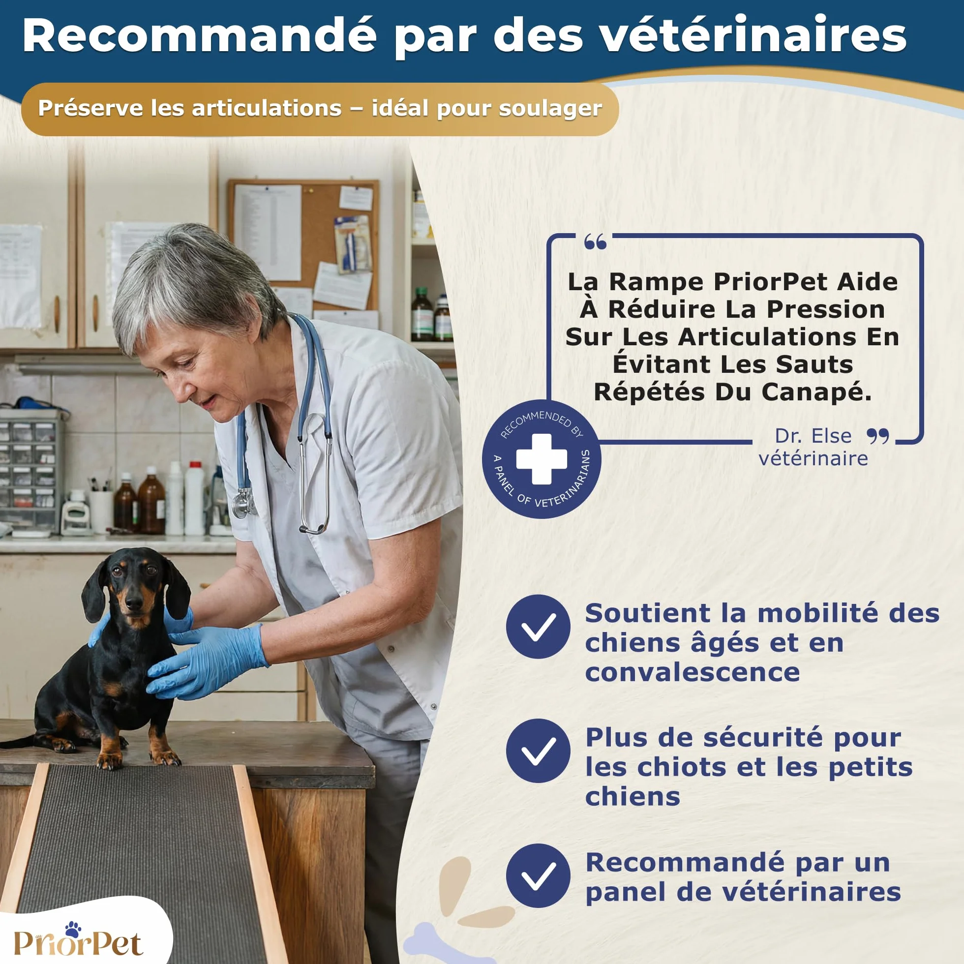 Rampe pour Chien Pliable et Réglable 18-53 cm - Surface Antidérapante - Bois de Bouleau Naturel