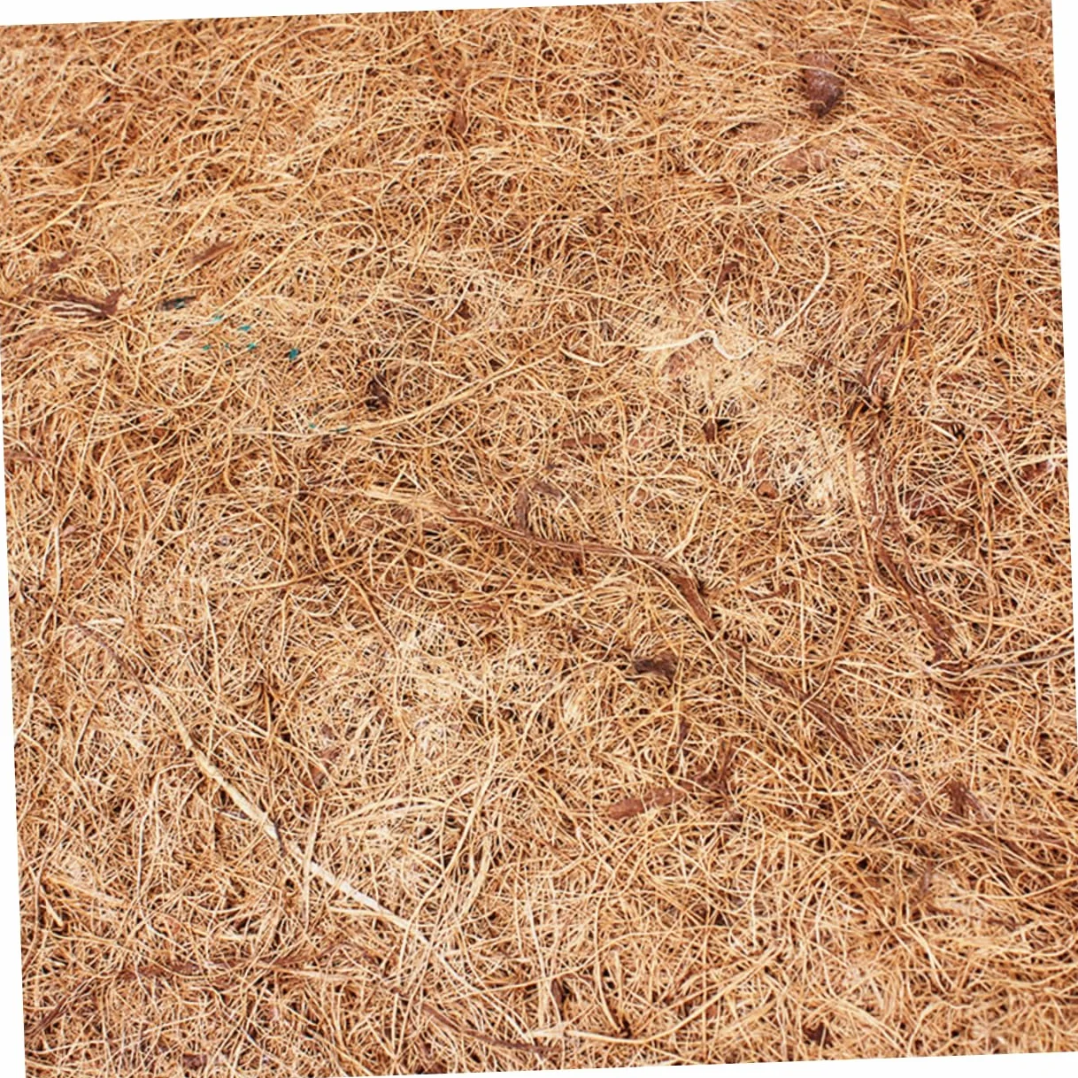 BESPORTBLE 2 Pièces Tapis Brun De Noix De Tapis De Reptile Tapis en Fibre De en Bois