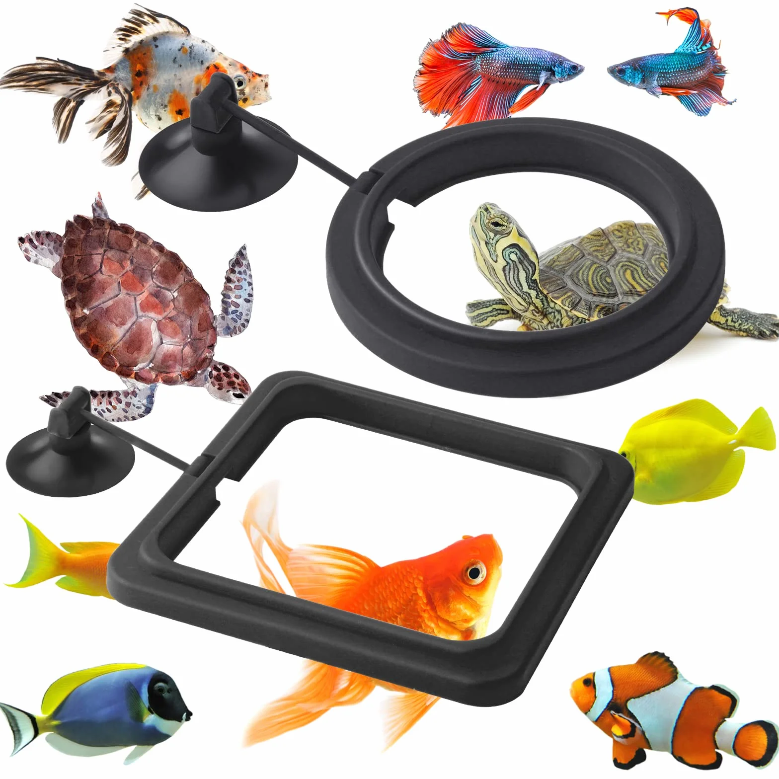 Anneau de Nourriture pour Poissons 2 pièces Distributeur Aquarium Accessoires Tortue Cercle Guppy Bettas Noir