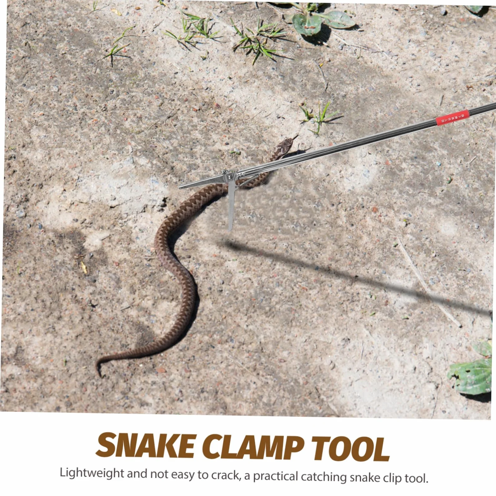 Pinces à Serpents en Acier Inoxydable Antidérapantes Pliables Outil Multifonctionnel pour Jardin