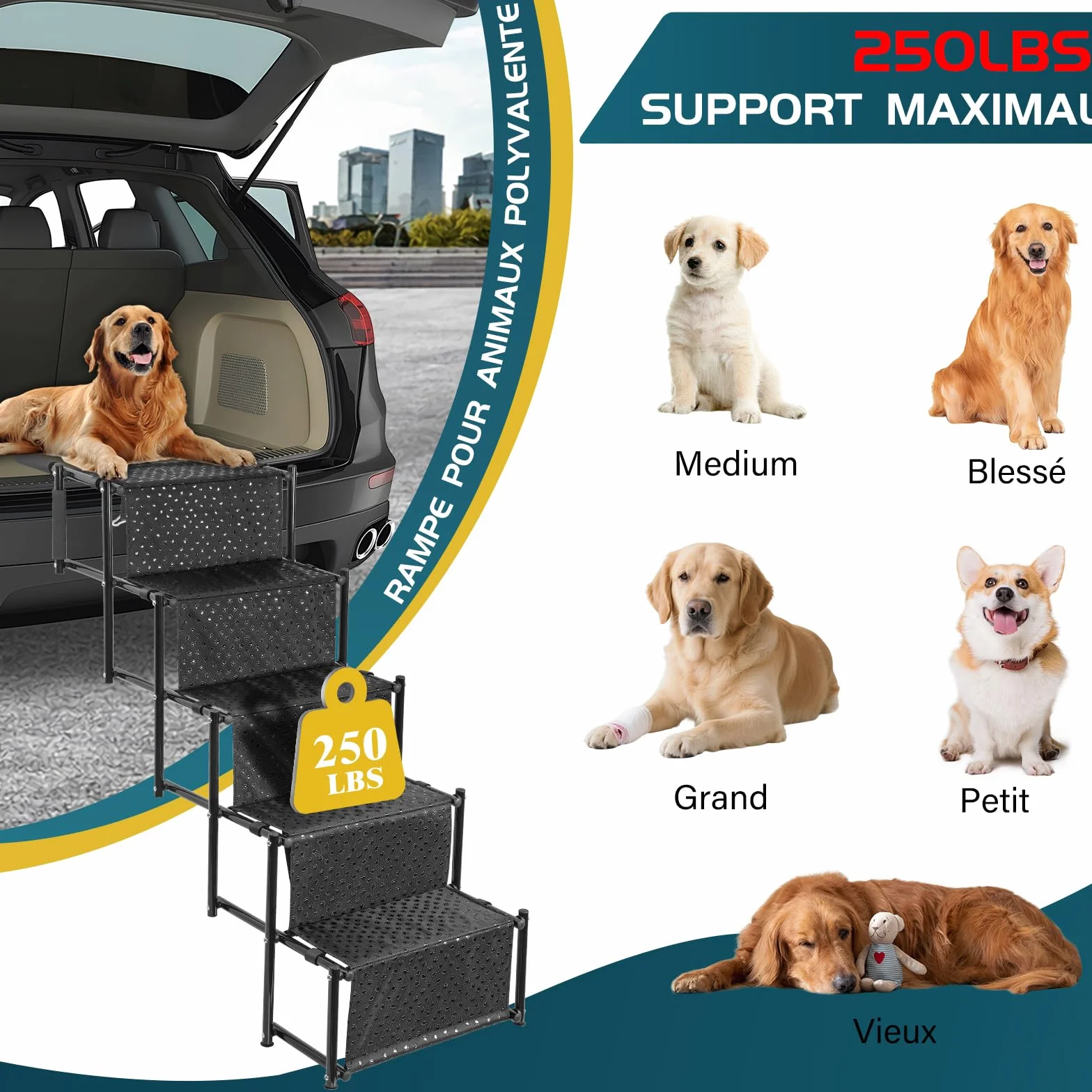 OUUTMEE Escalier pour Chien à 5 marches, Rampe Pliable avec Surface antidérapante, escalier pour Chiens Petits et Grands jusqu'à 80 kg, pour Voitures et SUV