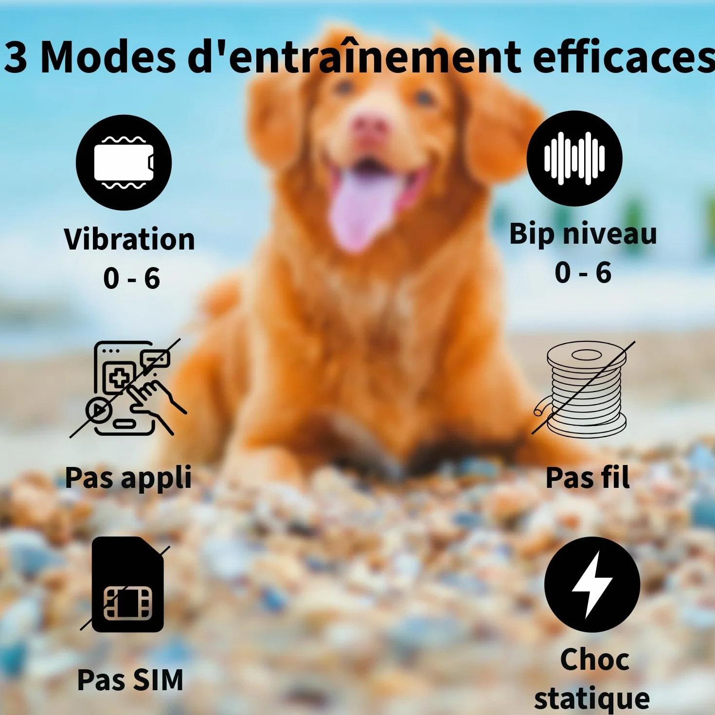 Clôture électrique sans fil GPS pour chien, 4e génération, portée 33-999 m, anti-fugue IA, IPX7