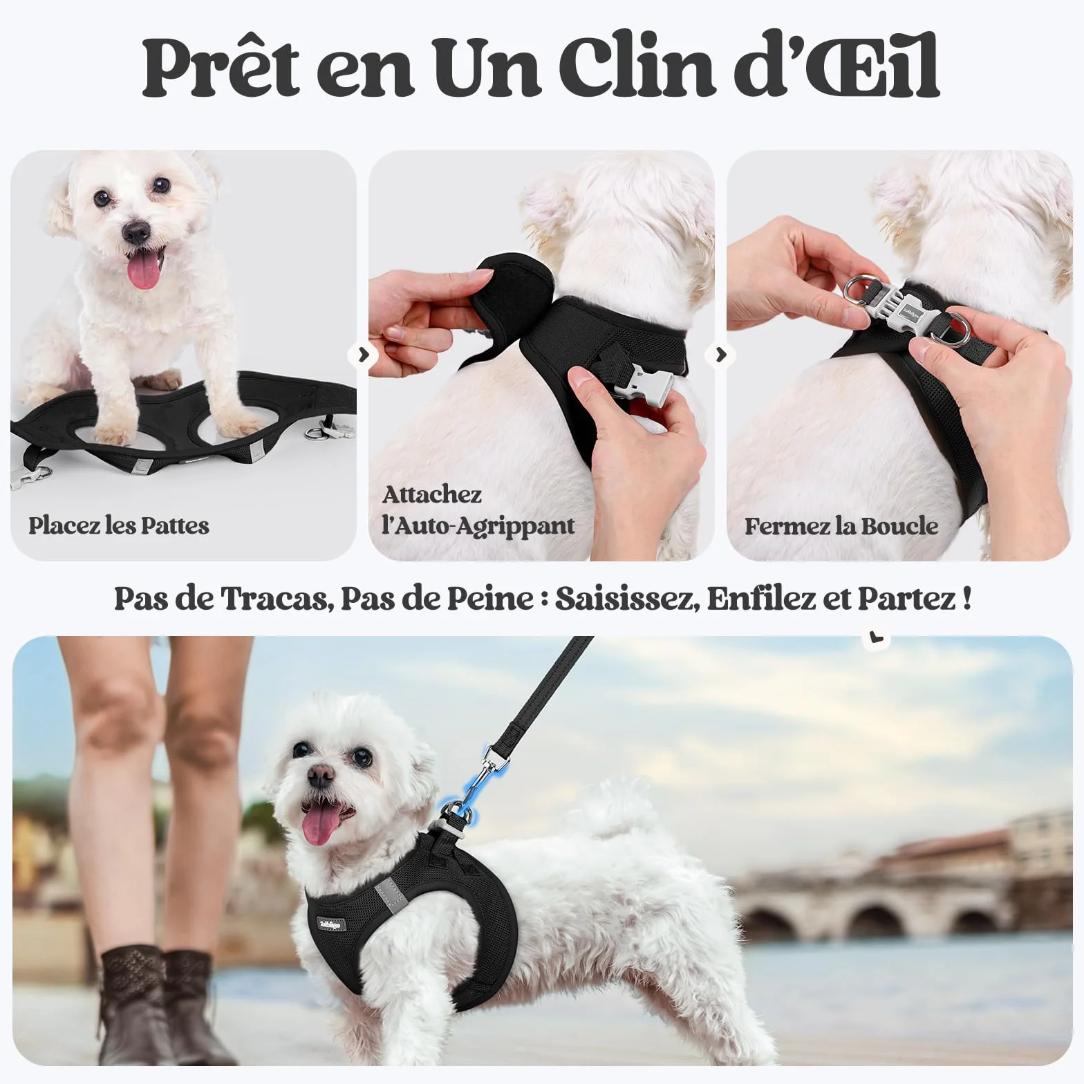 Rabbitgoo Harnais Chien Petite Taille avec Laisse Réfléchissant, Maille Souple, Gilet Réglable Facile à Mettre, pour Petit et Moyen, Noir S