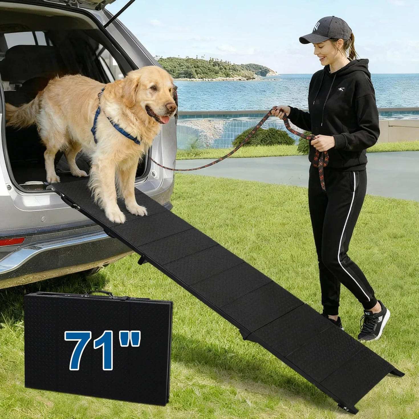 Niubya Escalier Pliable Rampe pour Voitures 180cm x 47,5 cm, Extra Longue en Aluminium pour Chiens Grande Taille jusqu'à 113 kg, Rampe Portable et imperméable pour SUV, camions