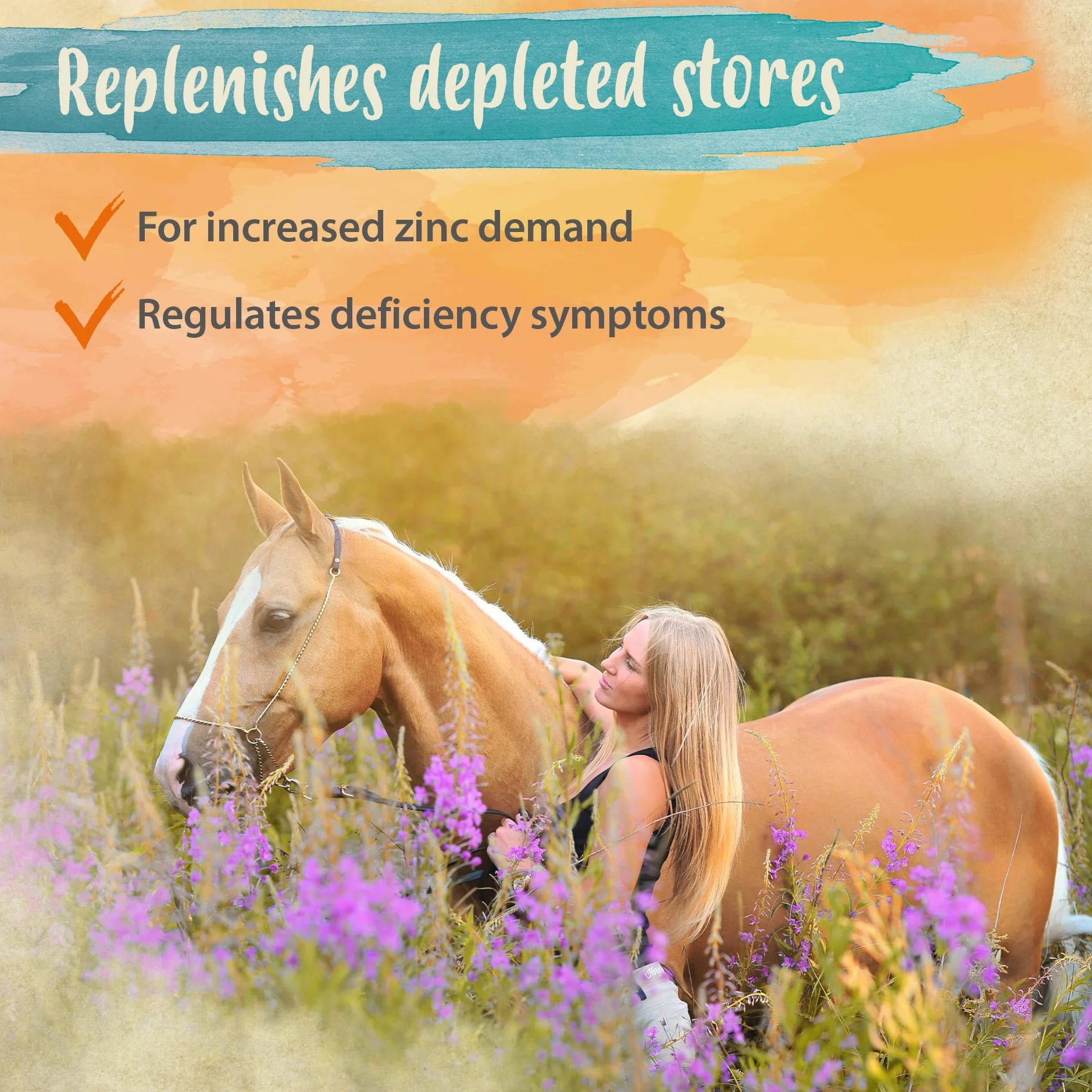 Ida Plus Biotine + Zinc - Soin complet - Hautement dosé - VAINQUEUR DU COMPARATIF - Zinc Premium pour chevaux - Améliore la qualité des sabots - Pour la peau, le pelage & le système immunitaire - 750g