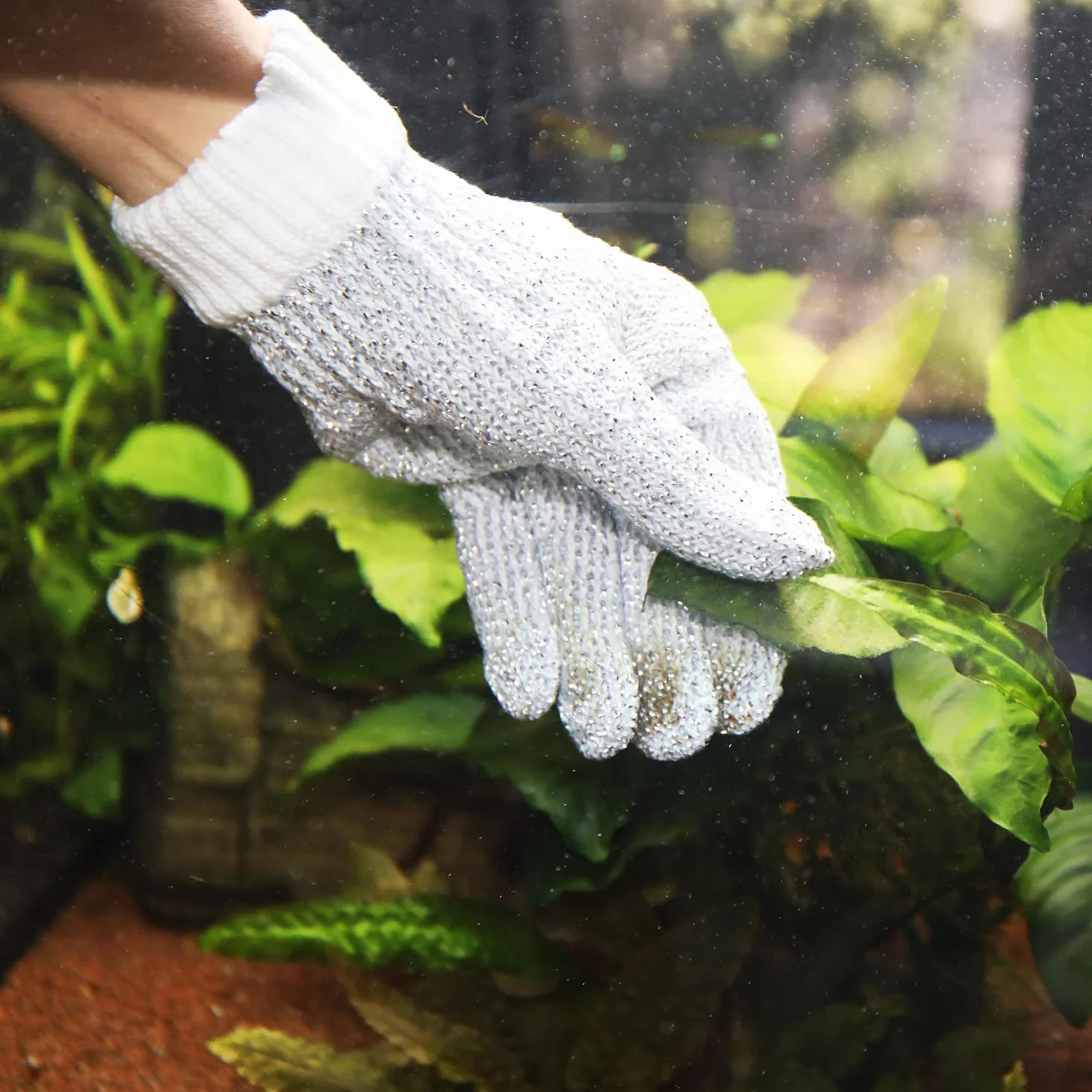 JBL Proscape Cleaning Glove Gant nettoyage aquarium