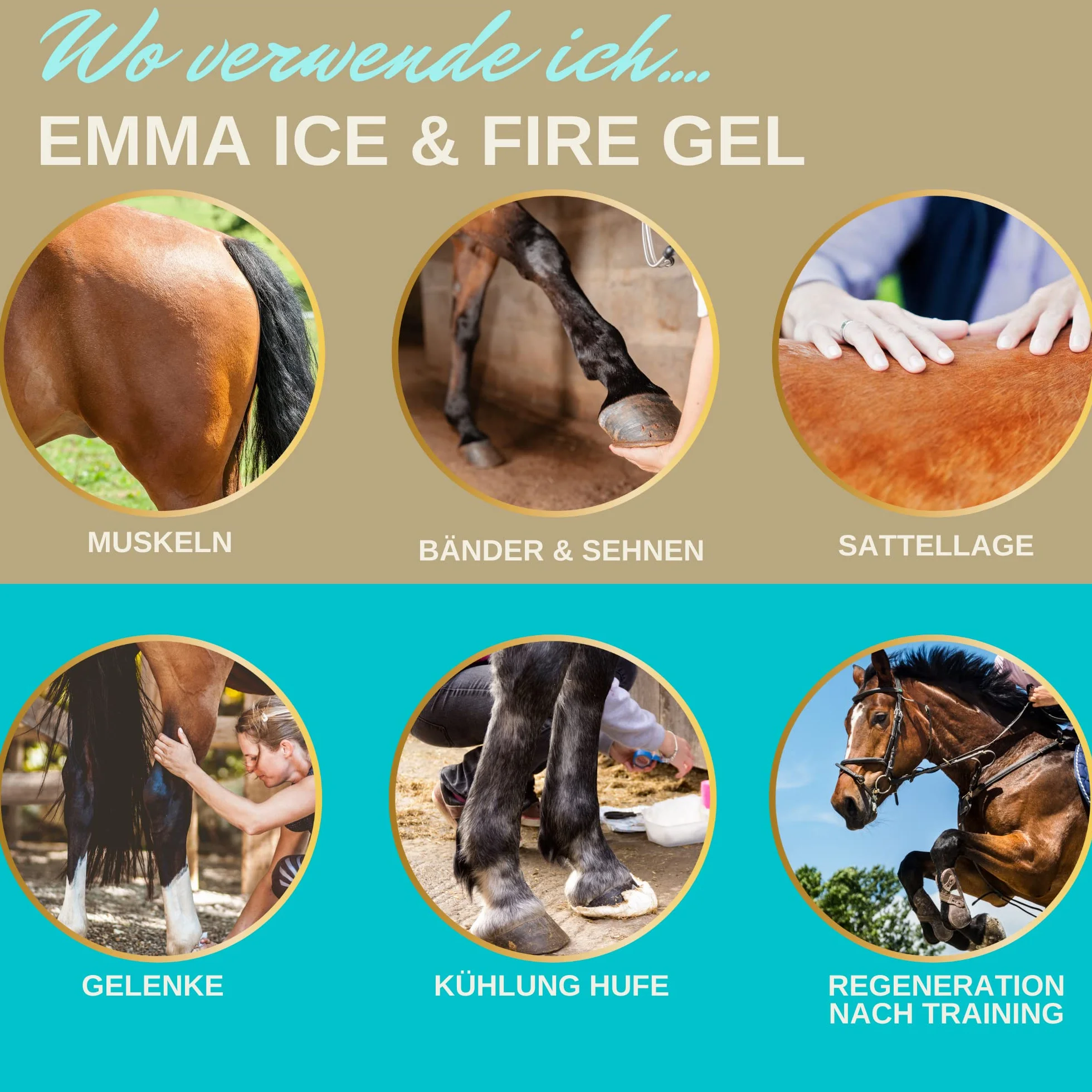 Baume de cheval rafraîchissant 500ml Gel à l'arnica Gel extra fort I Horse Balm Tendons, ligaments & muscles I Pommade pour chevaux à l'arnica Crème Gel de massage pour les muscles pour cheval chien
