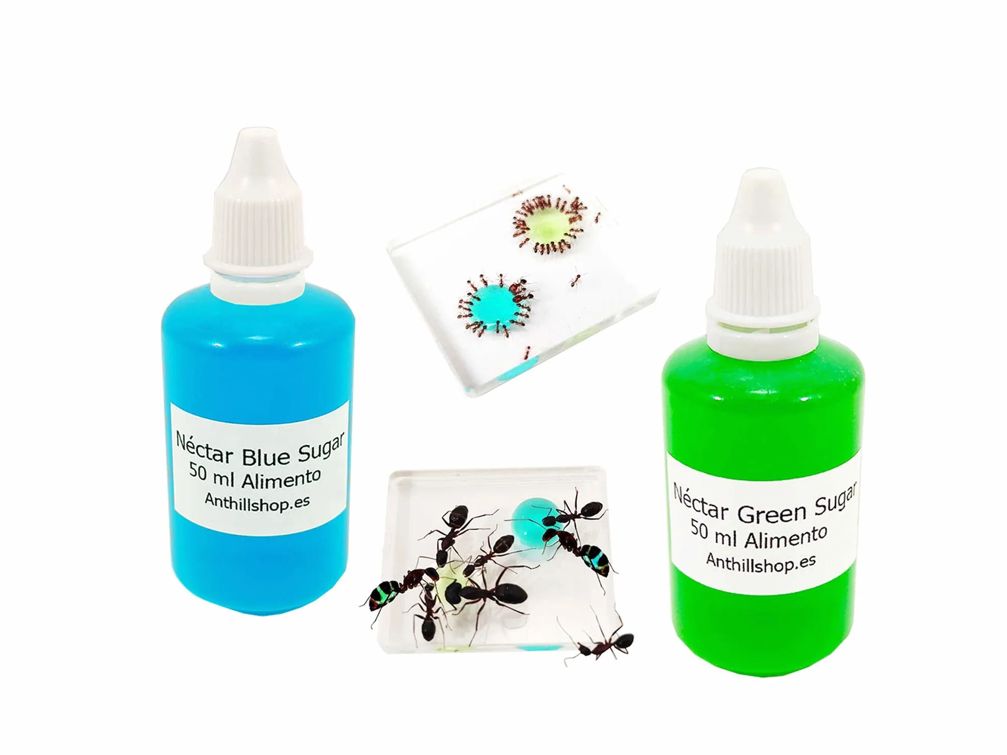 Aliments pour fourmis - Nectar de sucre bleu Plus Nectar de sucre vert - Lot de 2 bouteilles de 50 ml