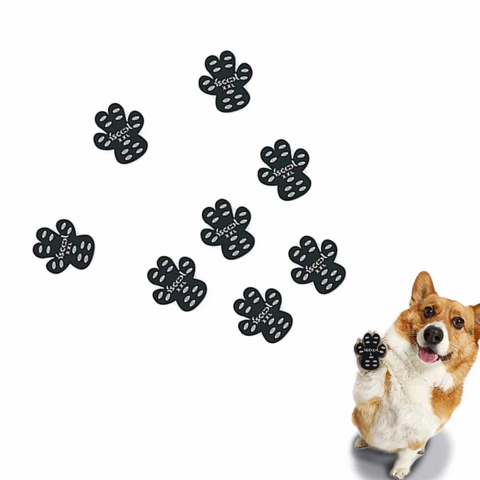 Lot de 8 patins adhésifs pour pattes de chien – Protection animal de compagnie pour activités de plein air